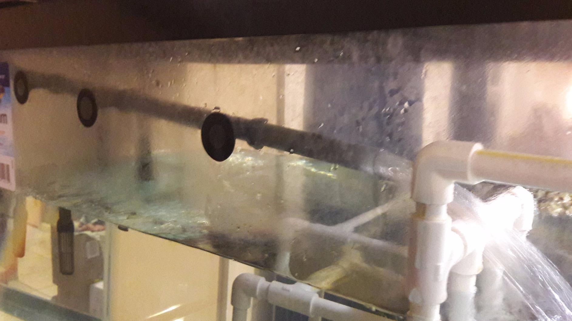 Penn-Plax Cascade 1200 Canister Filter, 315 GPH for Tanks Up to 150 Gallons customer photo 1