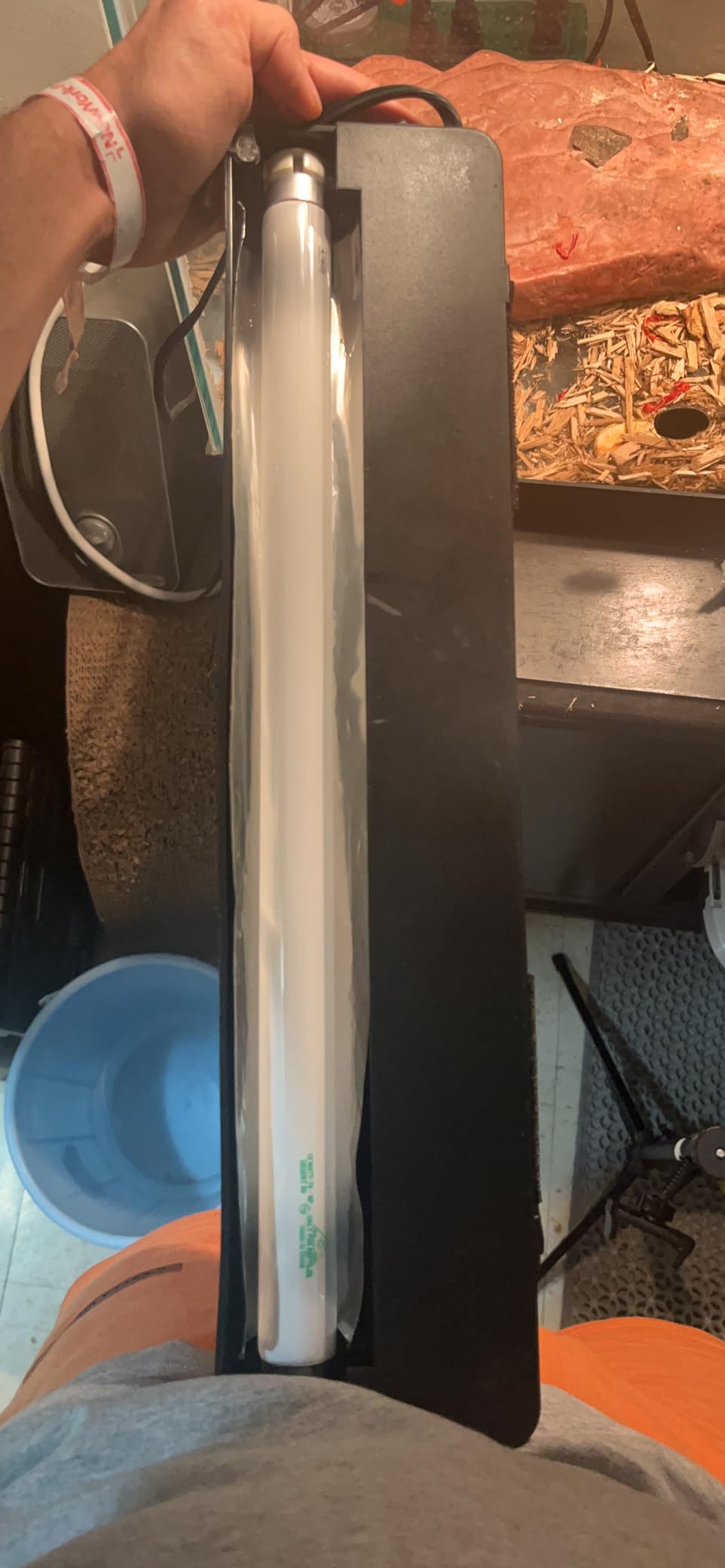 Zilla Desert T8 UVB Fluorescent Light Bulb, 15 Watt customer photo 2