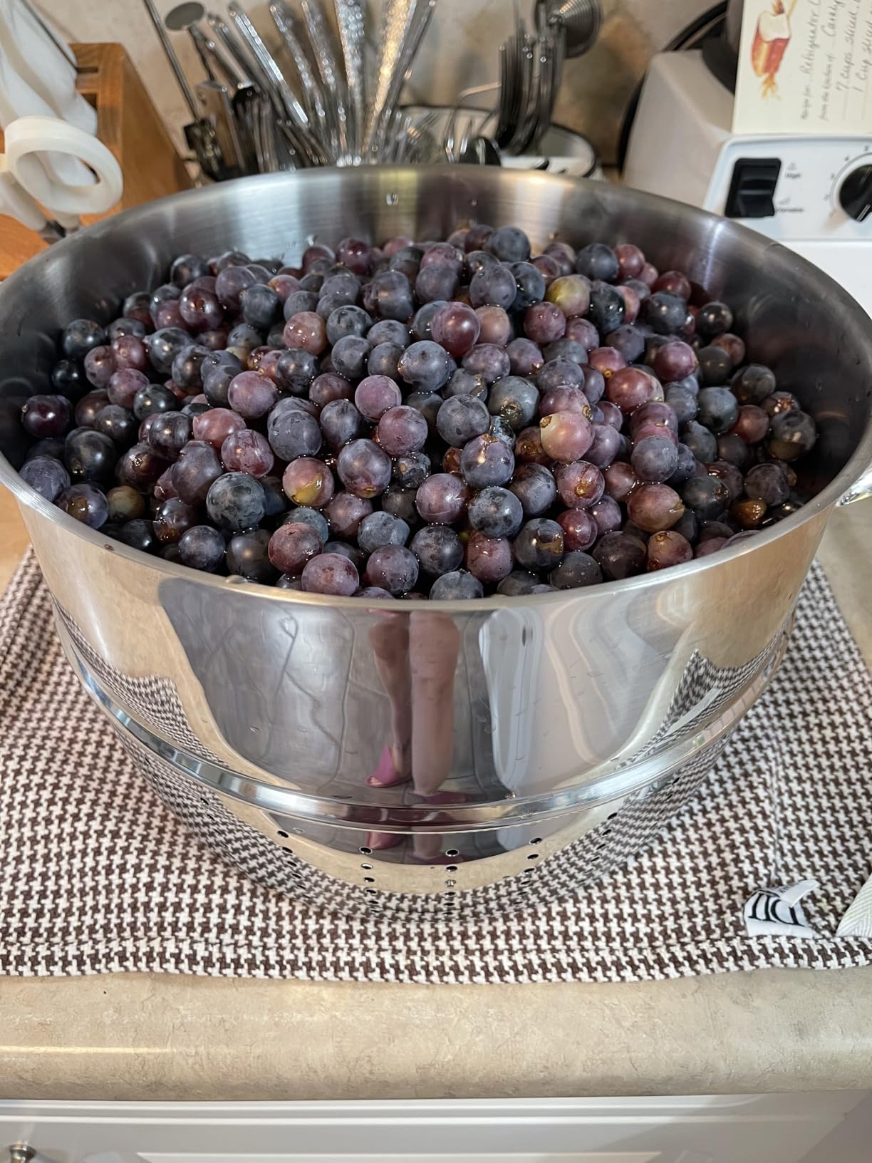 The Original Mehu-Liisa 11 Liter Stainless Steel Steam Juicer customer photo 1