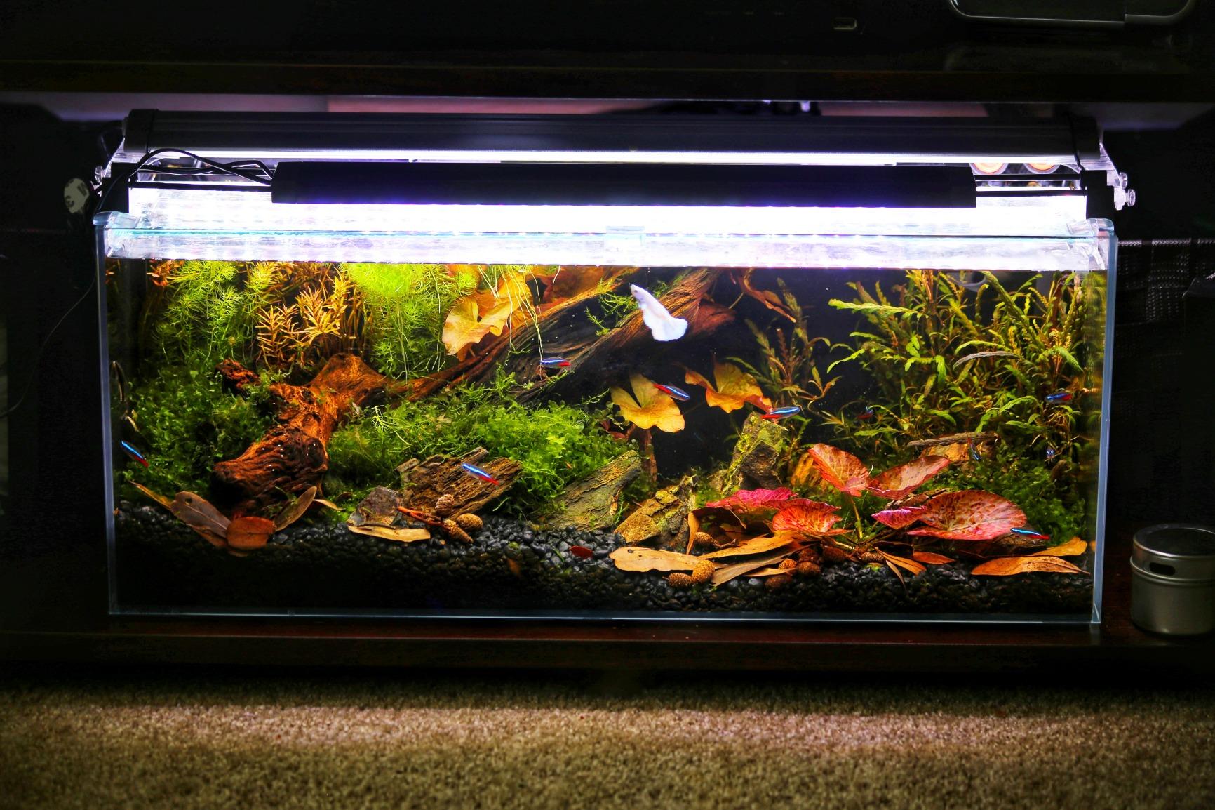 ZooMed Nano 30 External Canister Filter customer photo 1