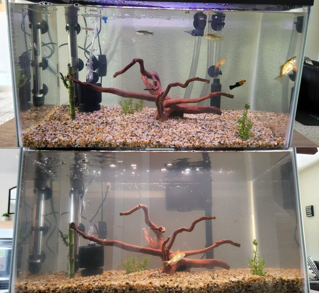ZooMed Nano 30 External Canister Filter customer photo 2