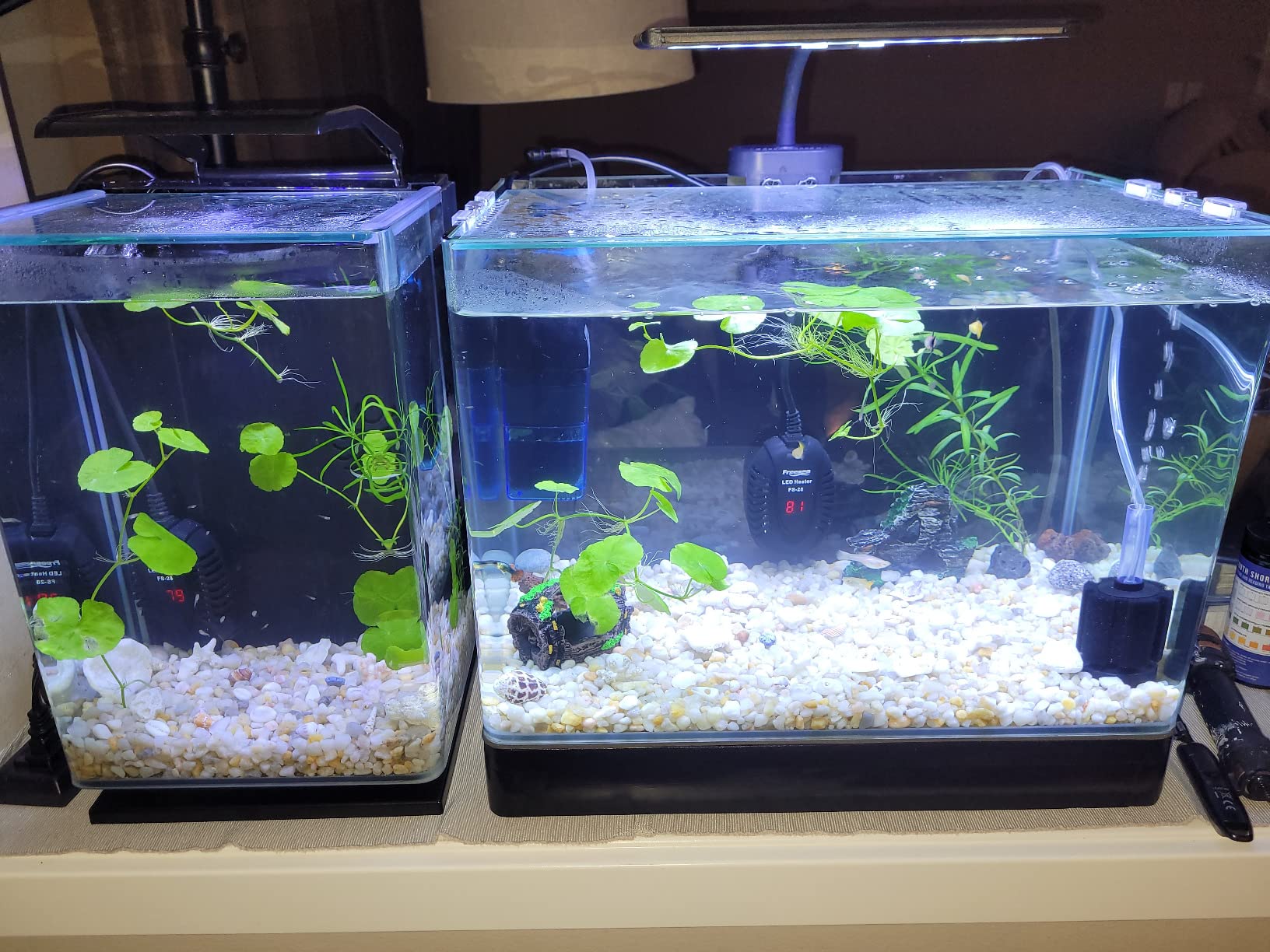 PENN-PLAX Water-World Radius Desktop Nano Aquarium Kit – Includes LED Light, Internal Filter, and Mat – Perfect for Shrimp and Small Fish – 10 Gallon Tank customer photo 1
