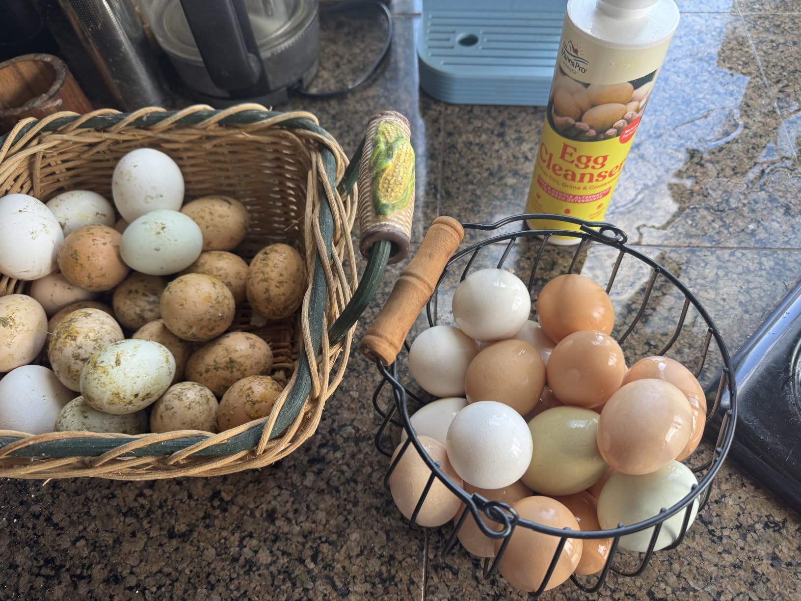 Manna Pro Egg Cleanser Natural Enzyme Wash for Fresh Eggs, 16 oz customer photo 1