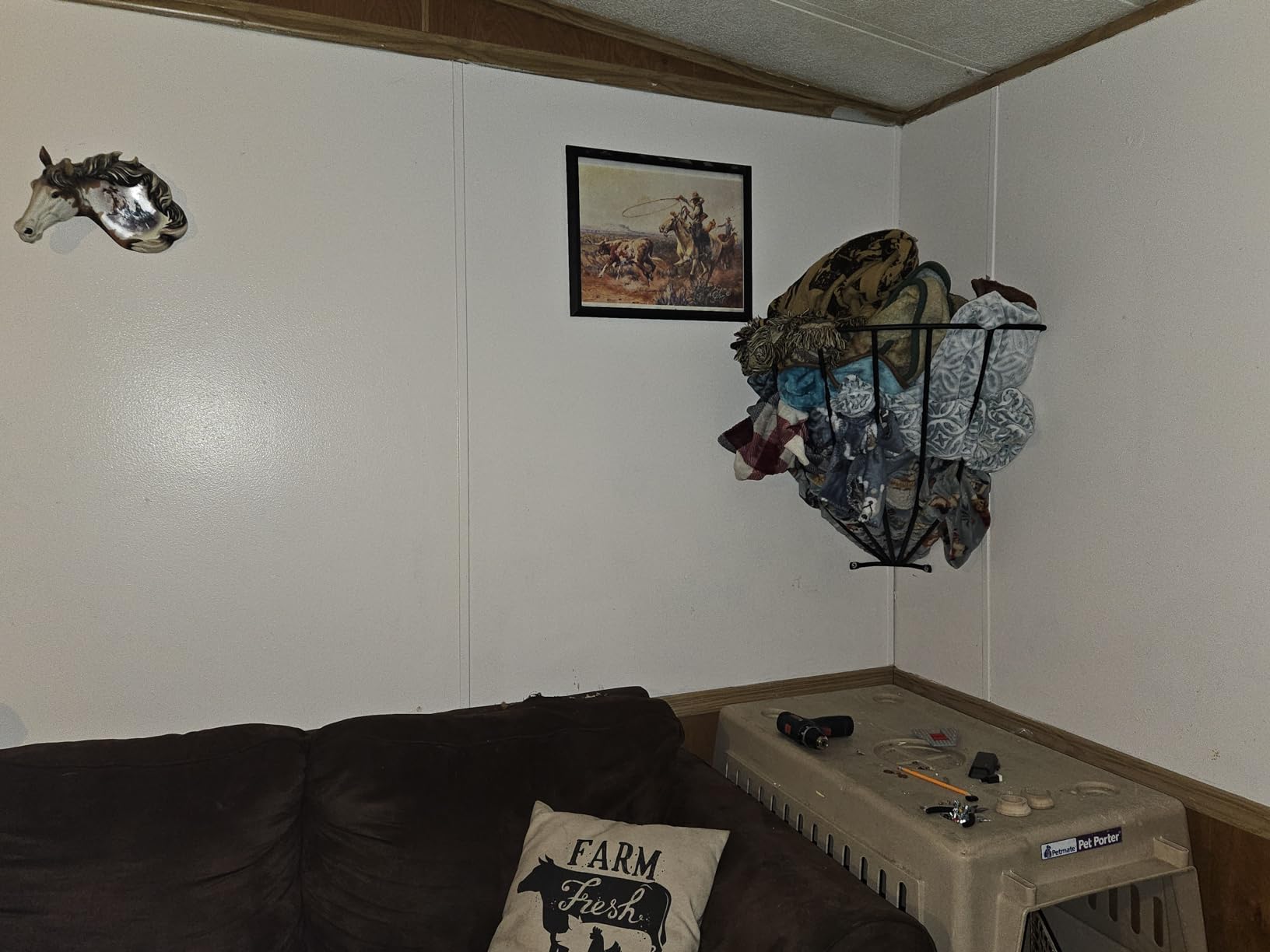 Intrepid International Wall-Mounted Corner Hay Rack - for Horses, Goats, Sheep, and Other Livestock, Heavy Duty and Convenient Feeder Solution customer photo 2