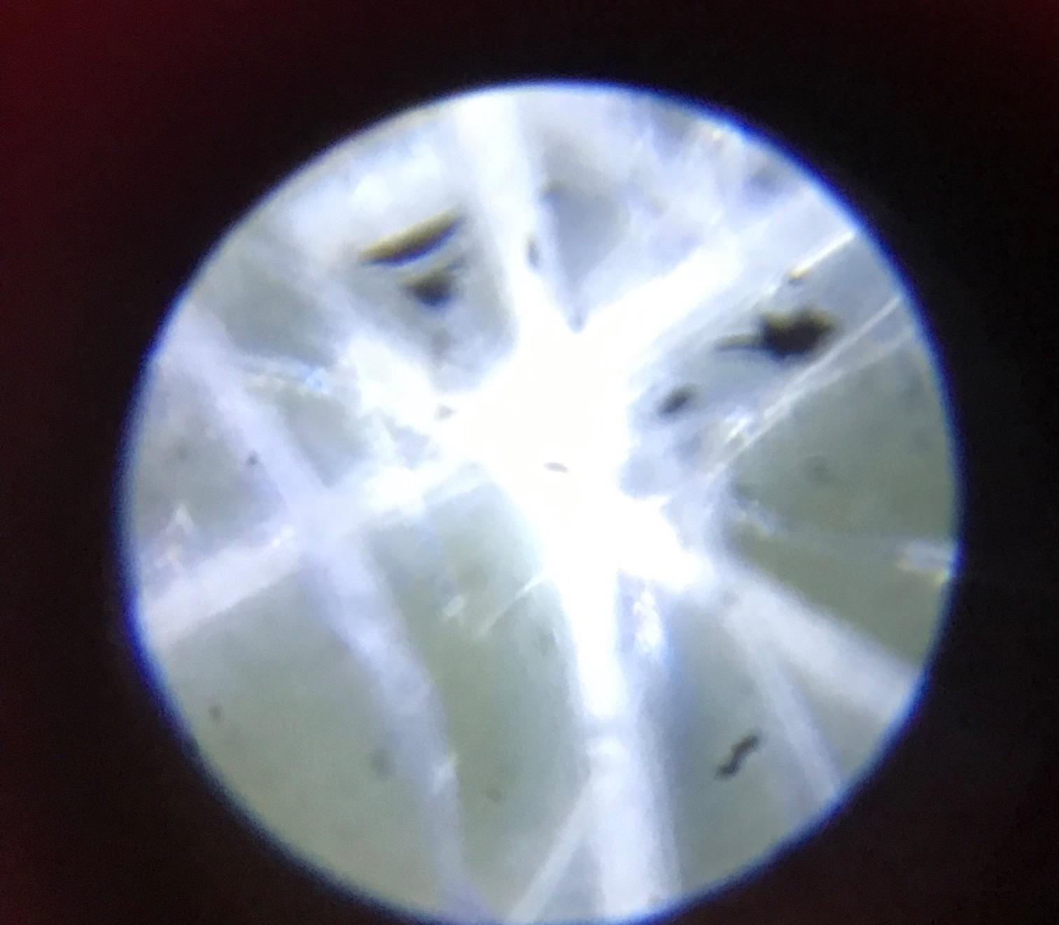 Educational Insights Nancy B's Science Club Microscope for Kids, Microscope Kit, Gift for Boys & Girls, Ages 8-12 customer photo 1
