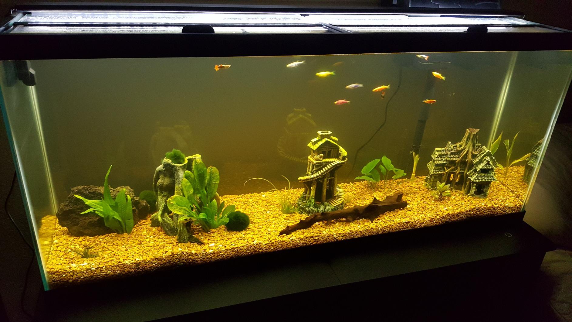 Current USA Satellite Freshwater LED Light for Aquarium, 48 to 60-Inch customer photo 2
