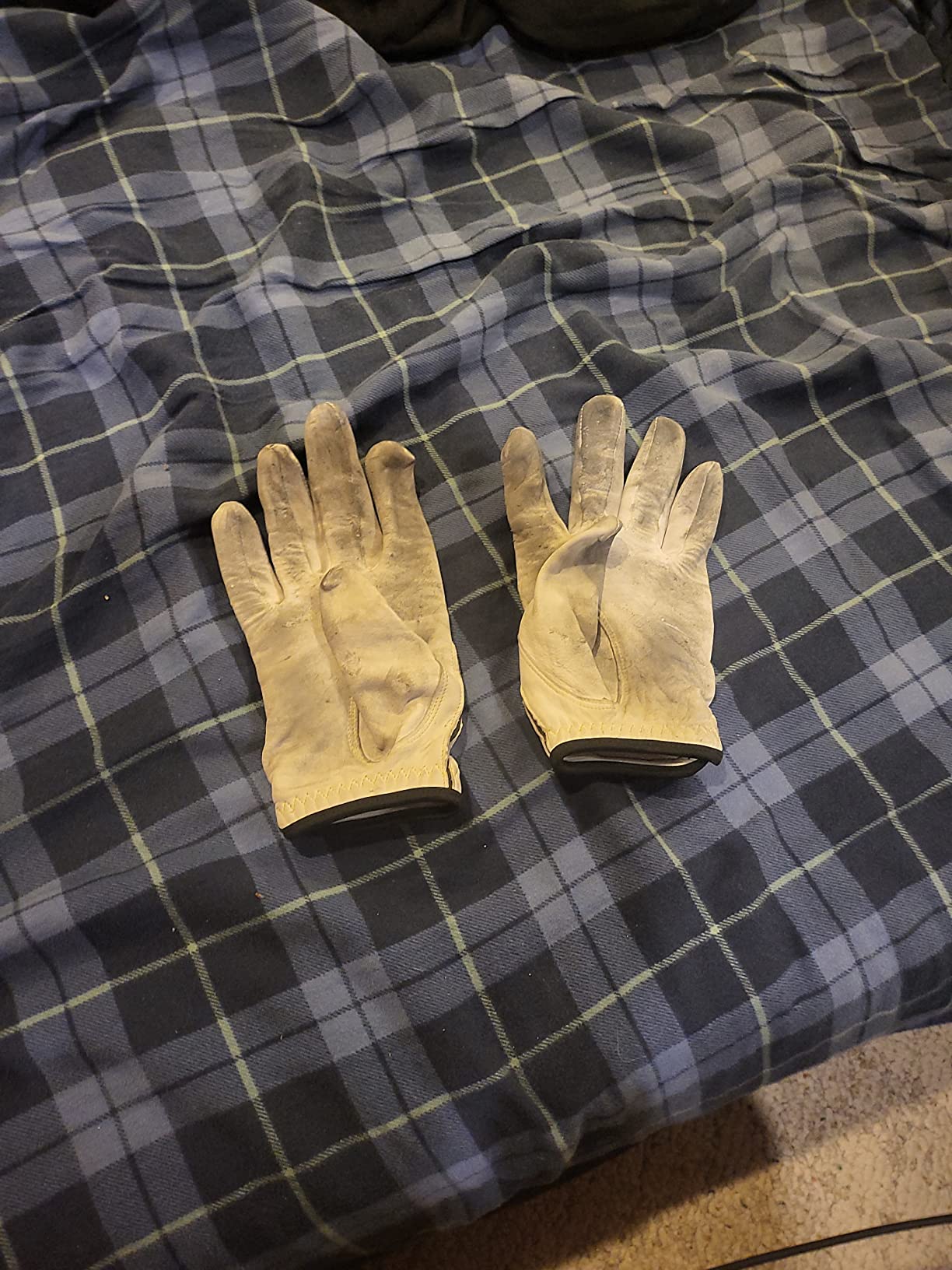 Tillman Medium 11
