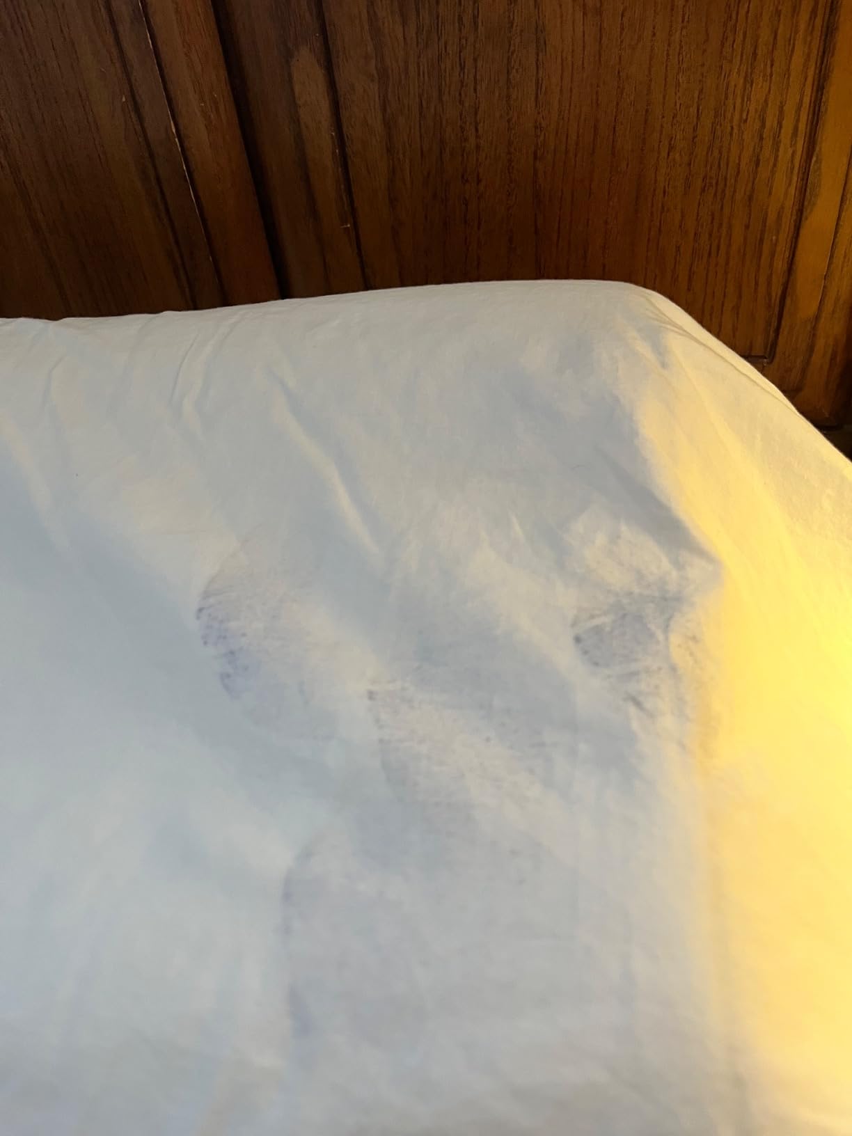 Alaska Bear Sleep Mask Silk Eye Cover with Shaped Pad, Machine Washable customer photo 2