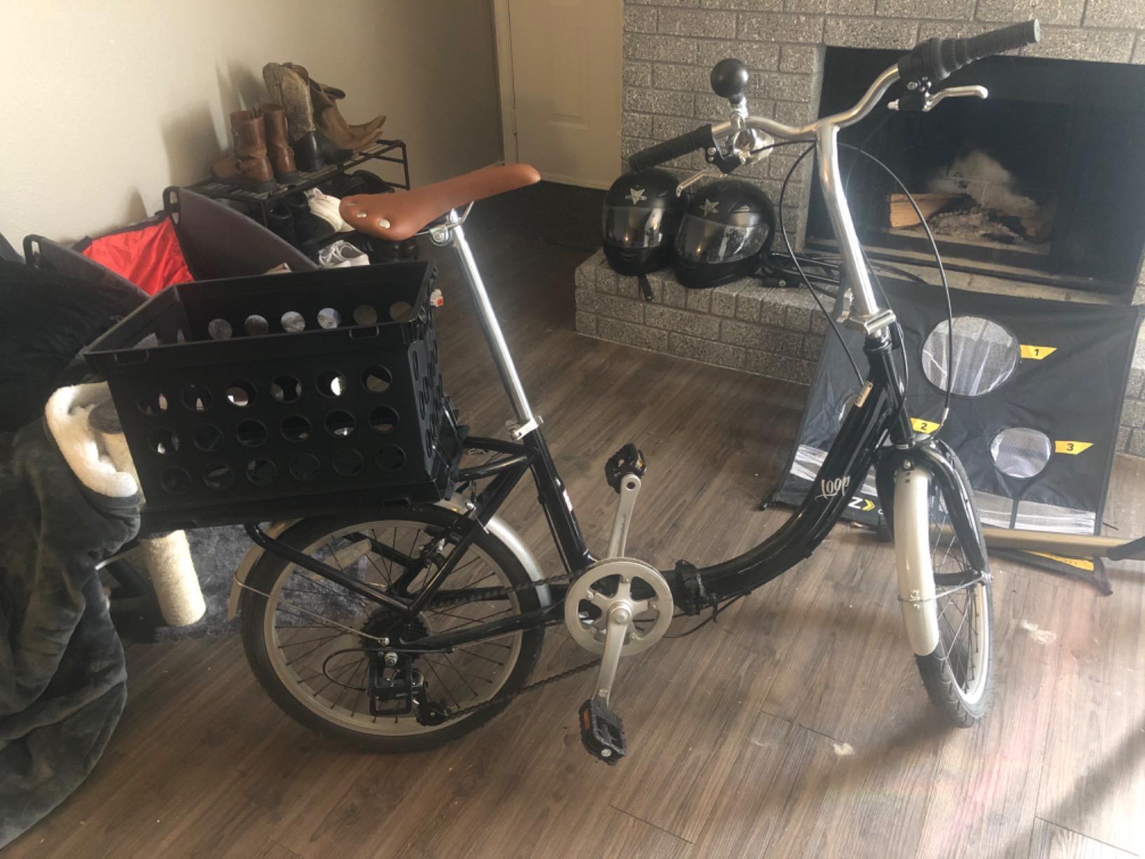 Schwinn Loop customer photo 2