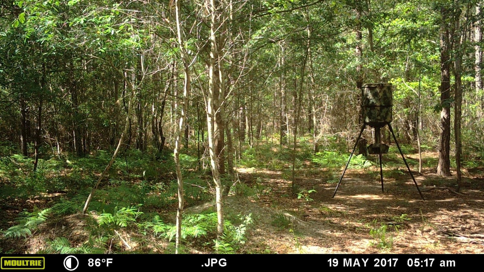 Wildgame Innovations Quick-Set 270 lb Game Feeder customer photo 2