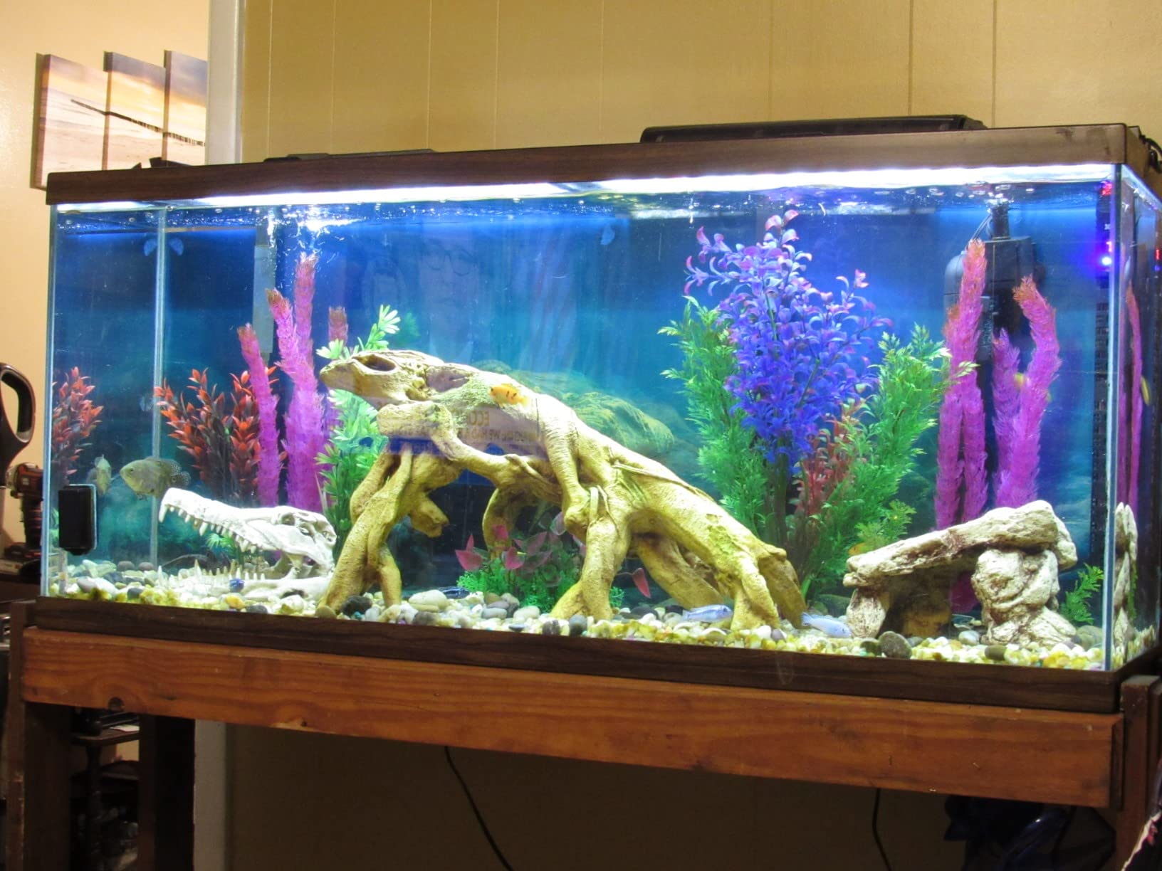 Fluval FX4 High Performance Aquarium Filter, up to 250 Gal. customer photo 1