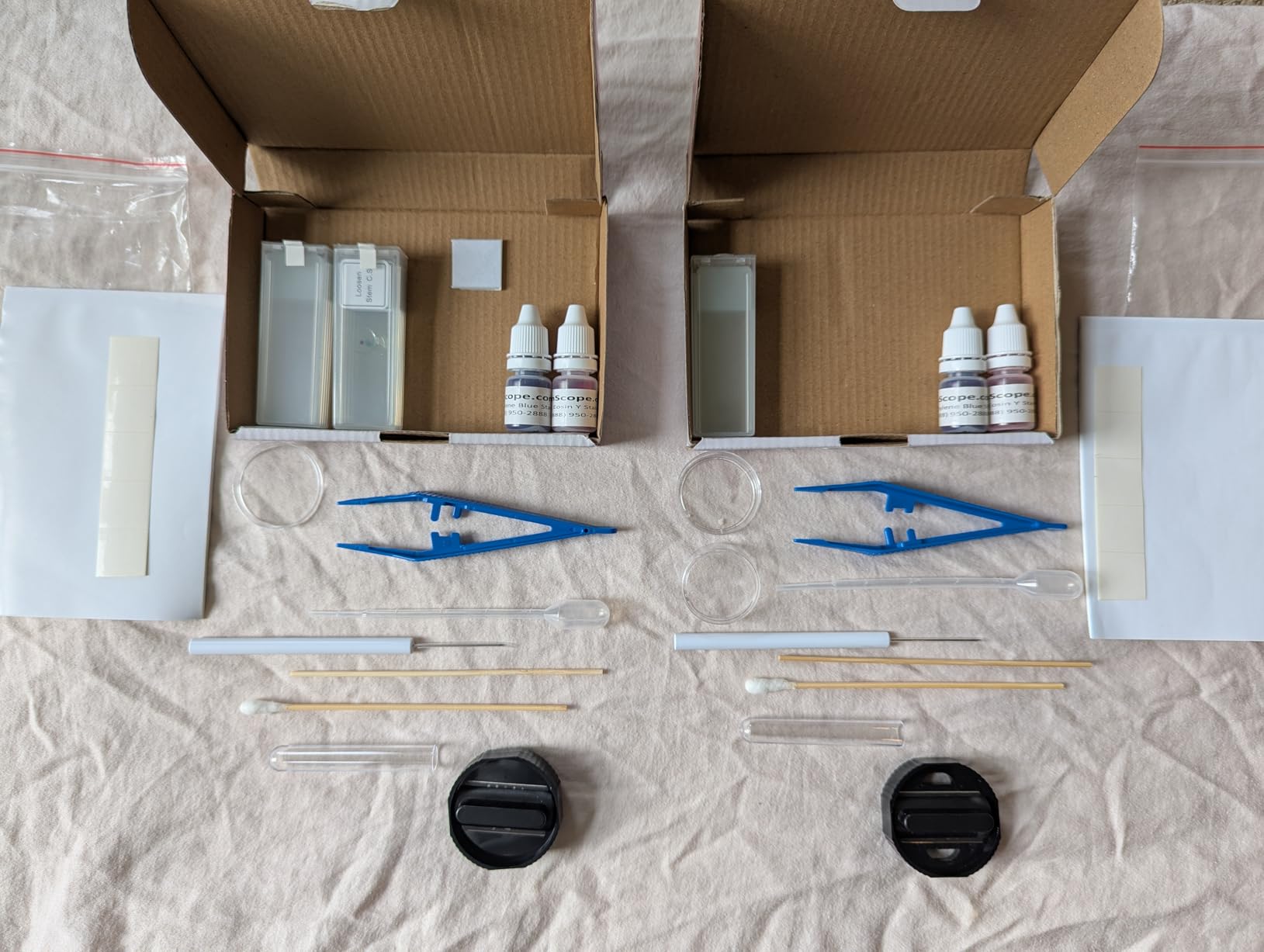AmScope SP-14 Microscope Slide Preparation Kit Including Stains customer photo 1