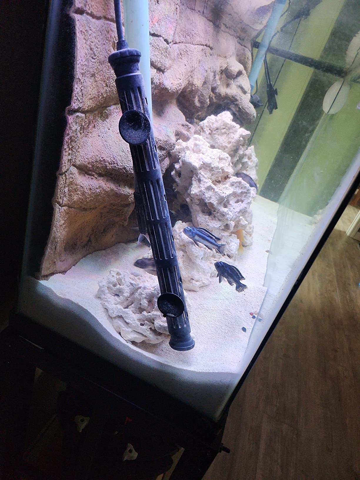 Finnex Premium Titanium Aquarium Heater, TH Series, Deluxe Nickel Coil, Heater Guard, Made in Taiwan (500 Watts) customer photo 2