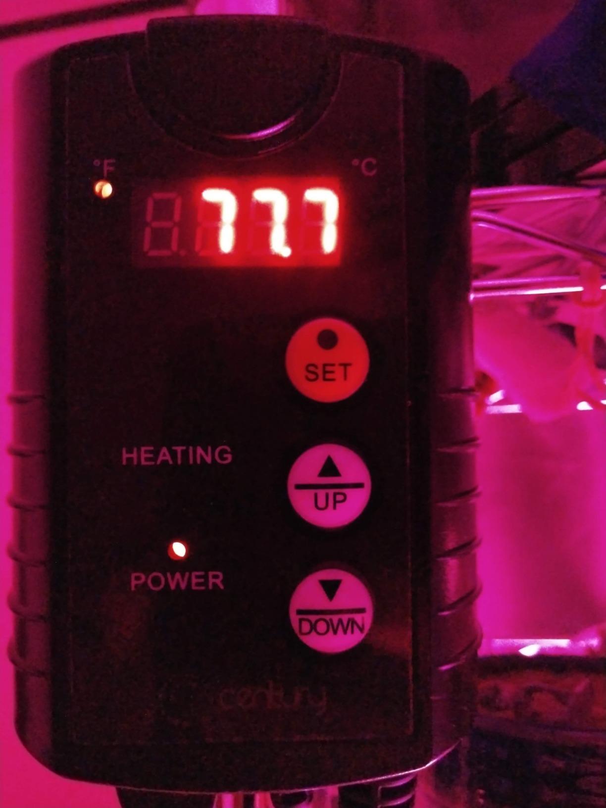 BN-LINK Reptile Thermostat Temperature Controller, Digital Heat Mat Thermostat for Seed Starting, Plant Germination, Greenhouse, Incubator, Brooder, Brewing, Reptiles Tank,40-108°F, 1000W, ETL Listed customer photo 2