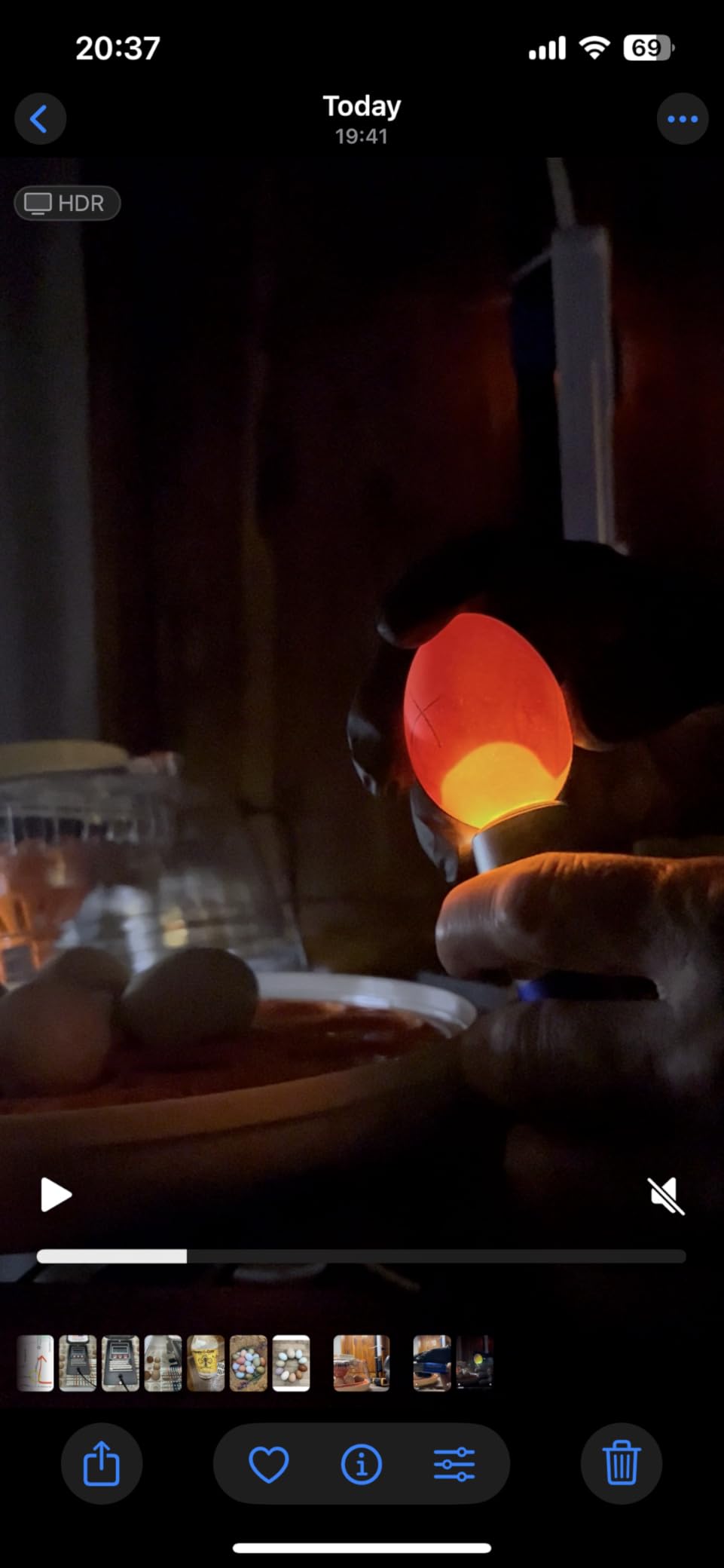 Incu-Bright™ Ultra Bright LED Egg Candler - Portable Light for All Egg Size customer photo 1