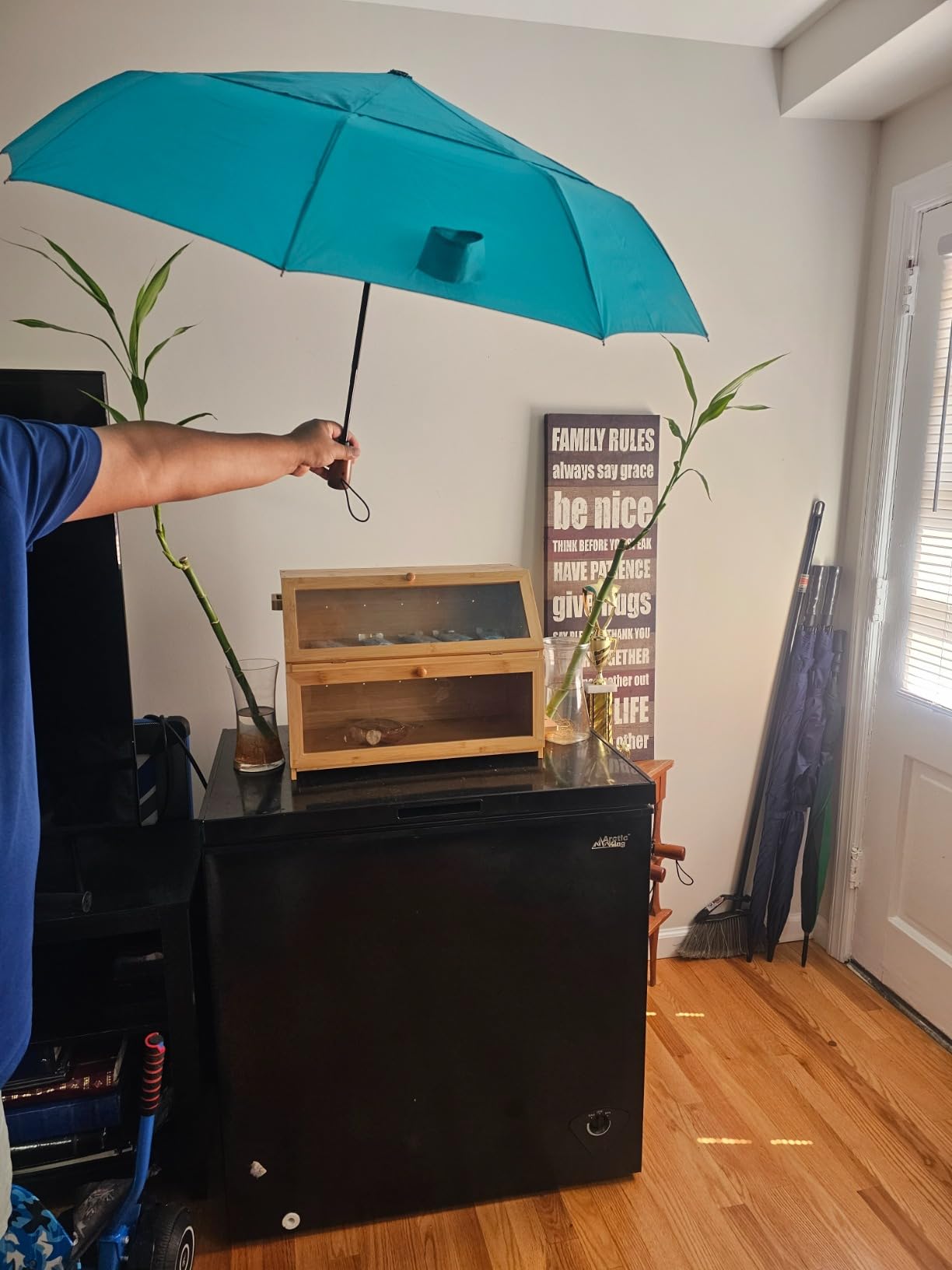 Raintrend Windproof Travel Umbrellas for Rain Automatic +10% Bigger Canopy Strong Frame Compact Folding Portable Umbrella for Women Men Backpack Purse customer photo 2