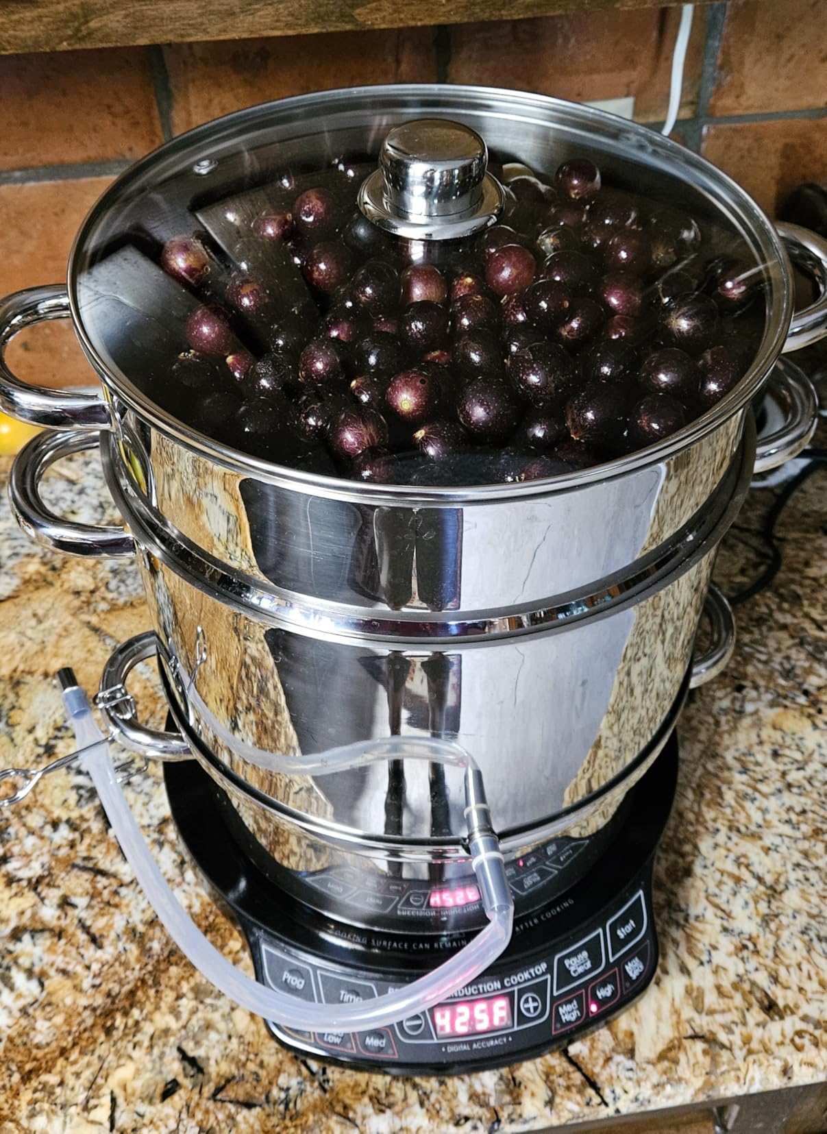 Giantex 11 Quart Juice Steamer Fruit Vegetables Juicer Steamers w/Tempered Glass Lid, Hose, Clamp, Loop Handles Stainless Steel Steam Juicer Multipots Kitchen Cookware for Making Juice, Jelly, Pasta customer photo 1