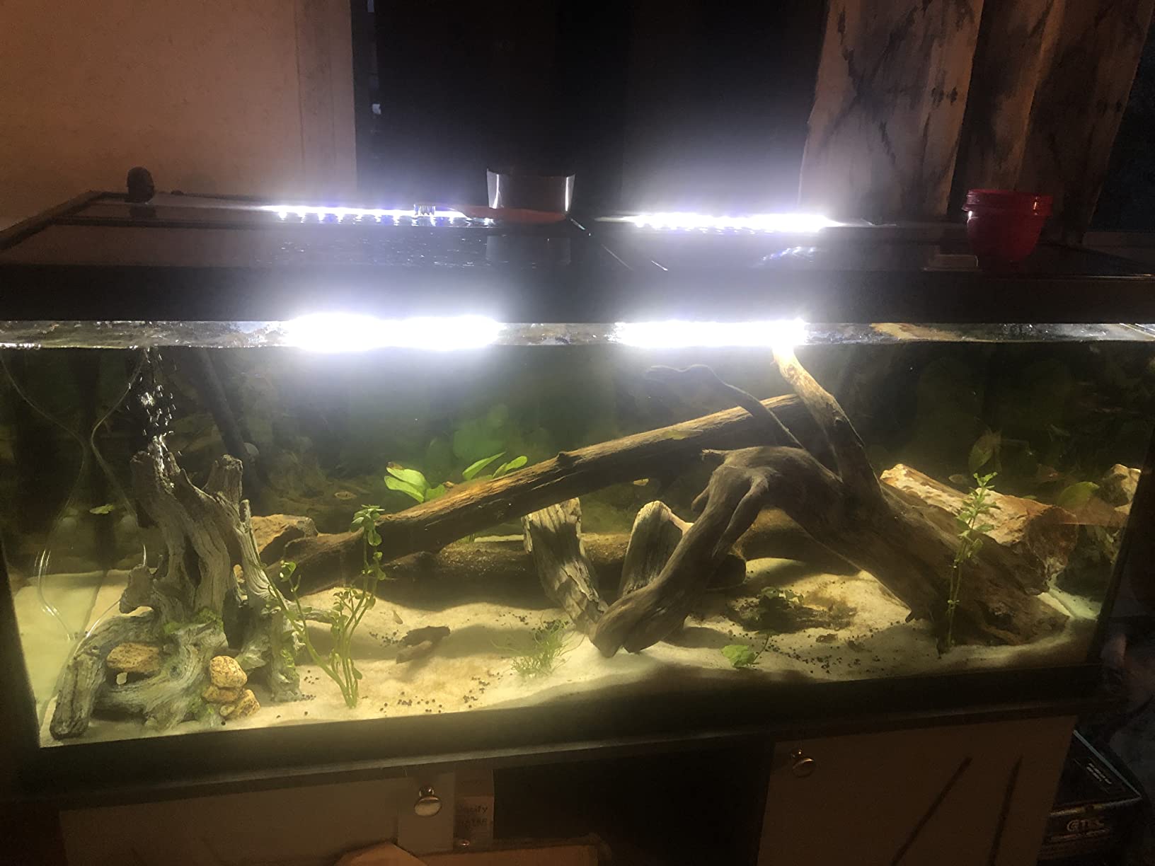 Aqueon Pro 300 Submersible Fish Tank Heater, 300 Watts customer photo 1