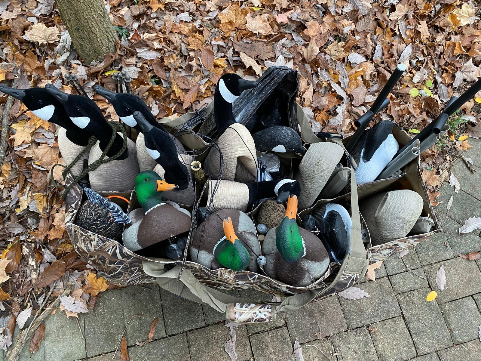 AUSCAMOTEK 12 Slot Duck Decoys Bag with Waterfowl Hunting Blind Camouflage Printing customer photo 2