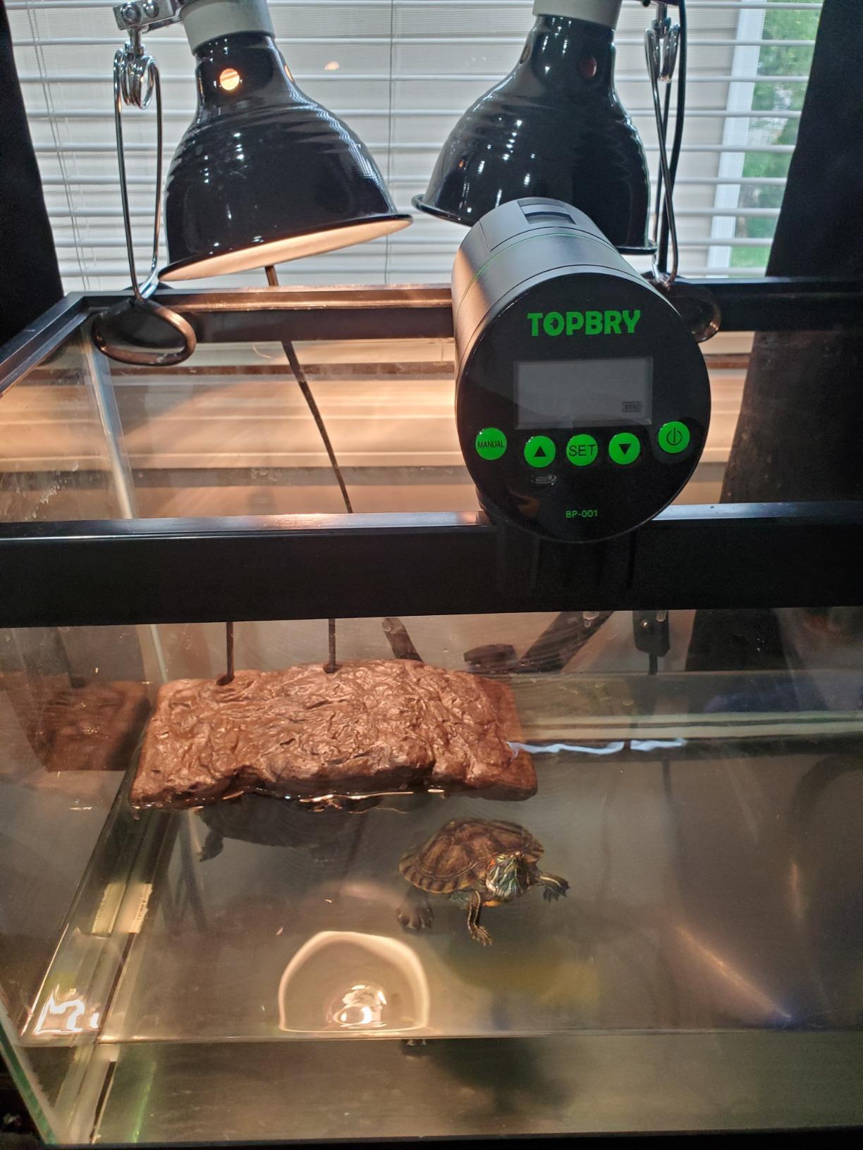 Automatic Fish Feeders - Digital Auto Aquarium Feeder with USB Rechargeable Timer and Fish Food Dispenser customer photo 1