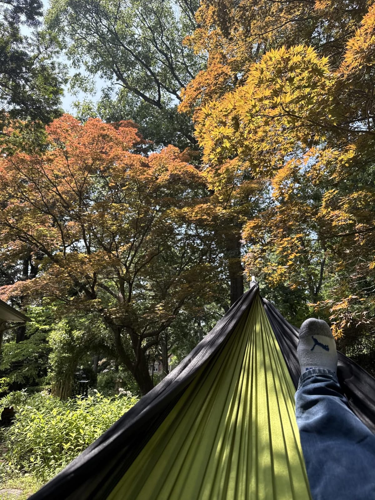 AnorTrek Camping Hammock, Super Lightweight Portable Parachute Hammock with Two Tree Straps Single or Double Nylon Travel Tree Hammocks for Camping Backpacking Hiking customer photo 1