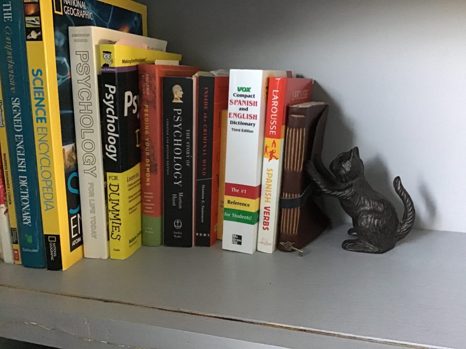 Ambipolar Cat Decorative Bookends, Unique Book Ends to Hold Books Heavy Duty for Office Desk, Vintage Antique Black Home Decor, Shelf Decoration, Modern Living Room Decor customer photo 1
