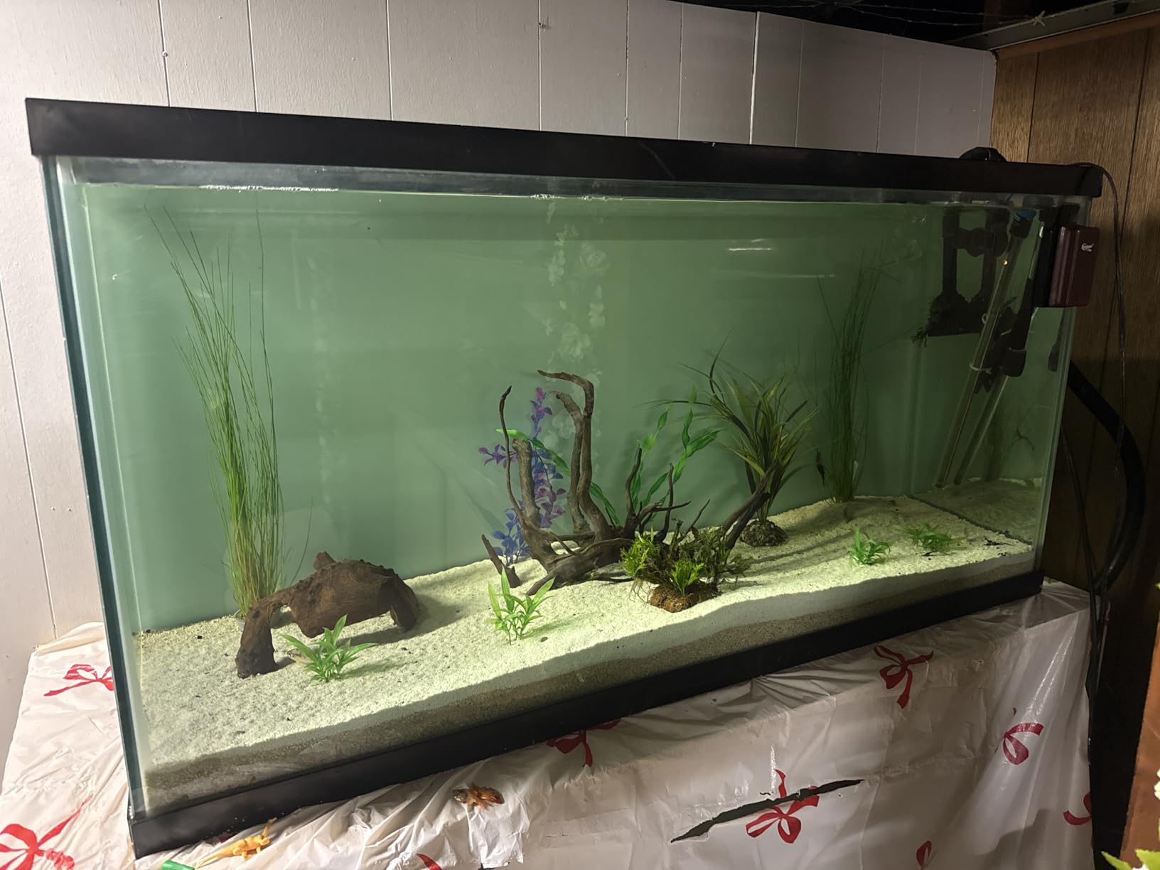 100W/300W/500W Aquarium Heater 500 Watt Fish Tank Heater Submersible Auto Thermostat Turtle Tank Heater 40-90 Gallon with Protective Sleeve and 3 Suckers customer photo 1