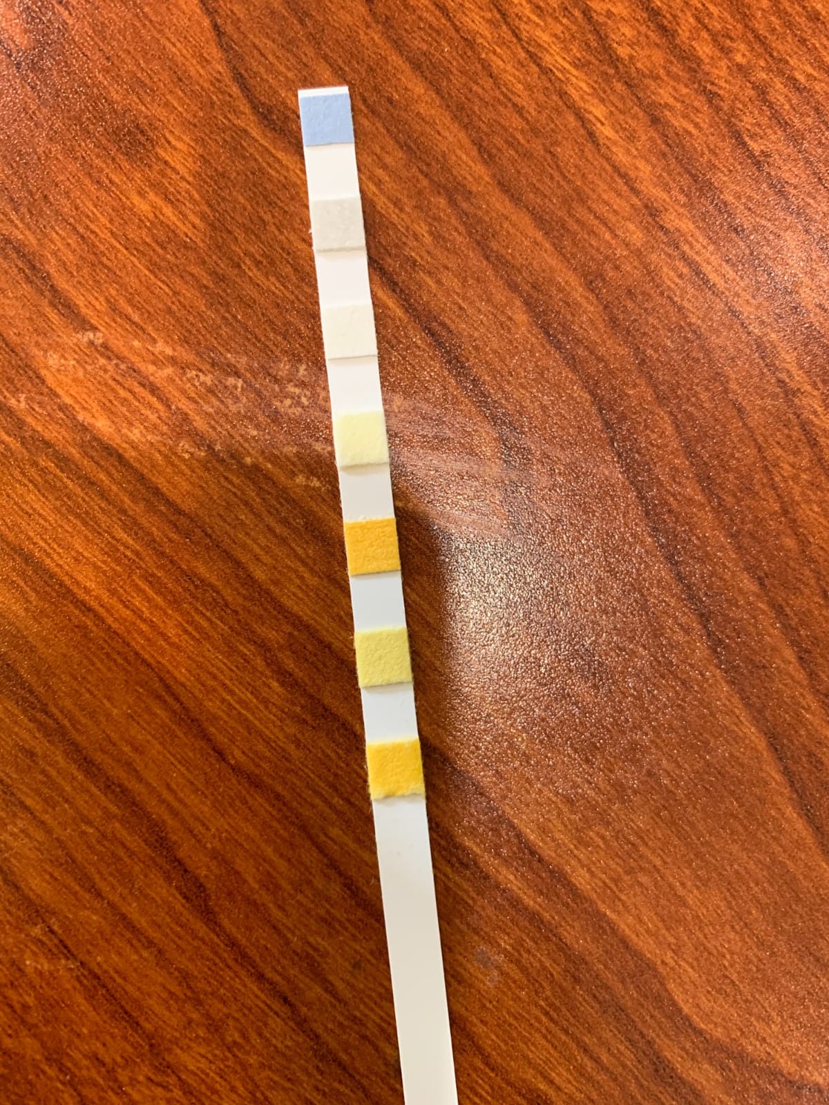 Aquarium Test Strips for Freshwater Fish: 7 in 1 Fish Tank Water Testing Kit for Aquarium Pond - Accurate Testing Nitrate Nitrite Hardness Free Chlorine pH Carbonate Total Alkalinity-100 Strips customer photo 1