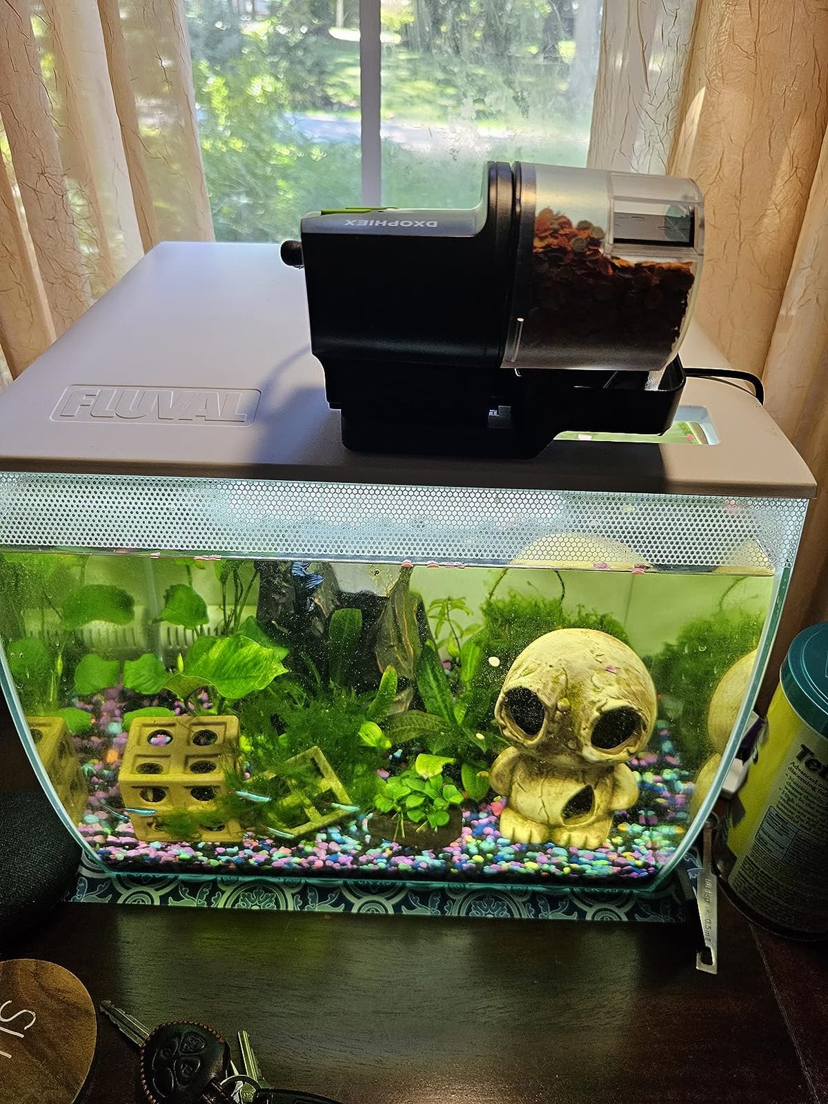DXOPHIEX Automatic Fish Feeder Food Dispenser Vacation Fish Feeder customer photo 2