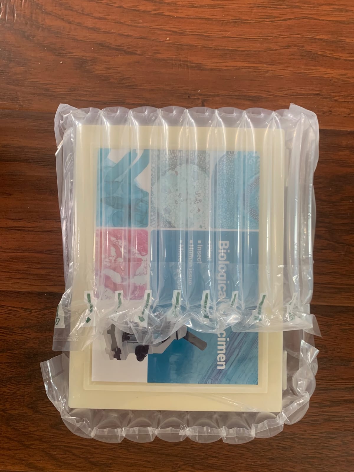 120 Microscope Slides with Specimens for Kids: Prepared Slides for Science customer photo 2