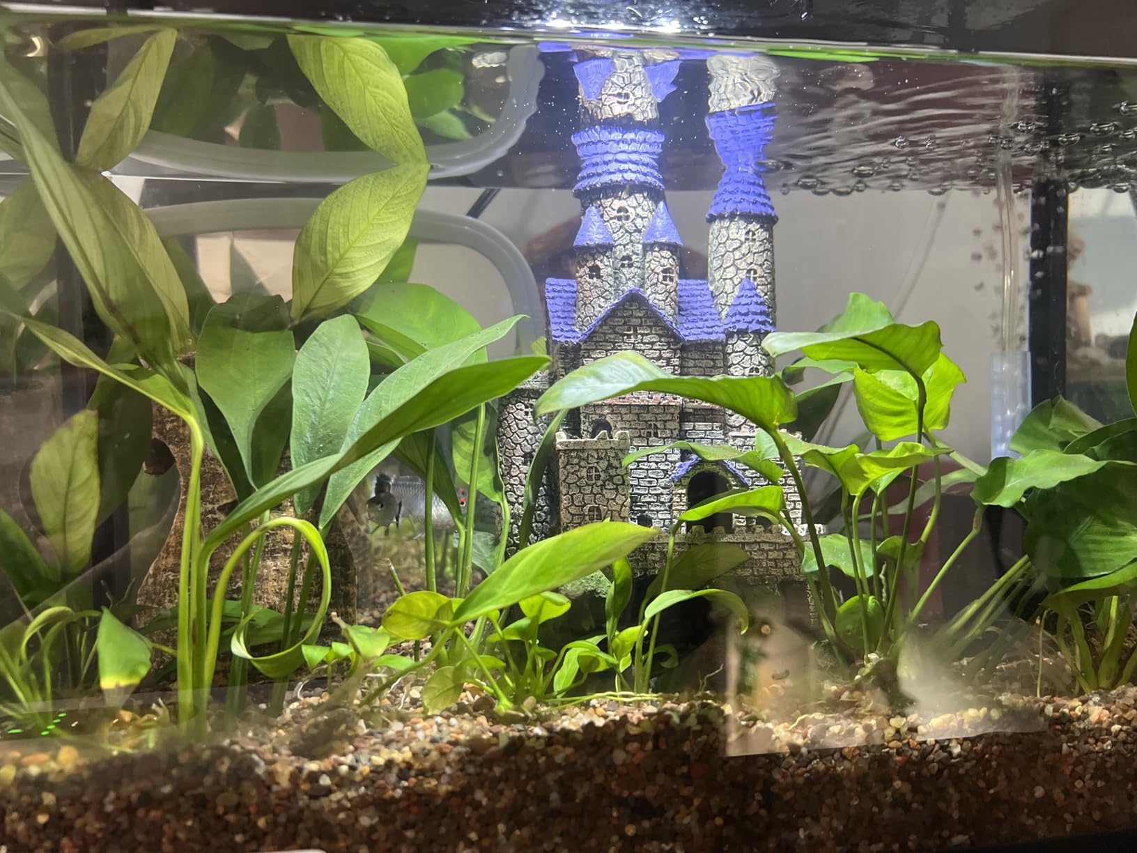 Tetra Water Cleaner Gravel Siphon for Aquariums Up to 55 Gal customer photo 2