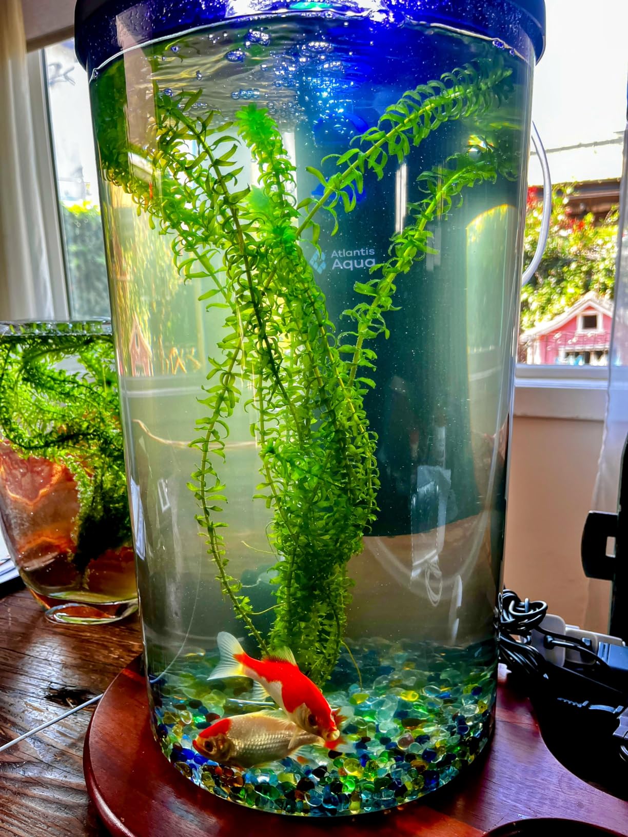 Koller Products Plastic 6-Gallon AquaView 360 Aquarium Kit for Tropical Fish, Betta Fish with LED Lighting and Power Filter Clear, 4-Piece Set customer photo 1