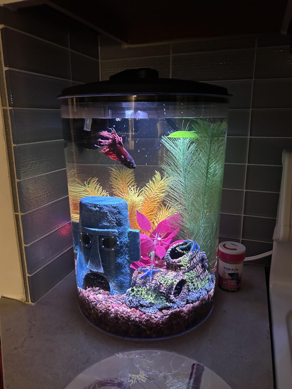 Koller Products Plastic 6-Gallon AquaView 360 Aquarium Kit for Tropical Fish, Betta Fish with LED Lighting and Power Filter Clear, 4-Piece Set customer photo 2
