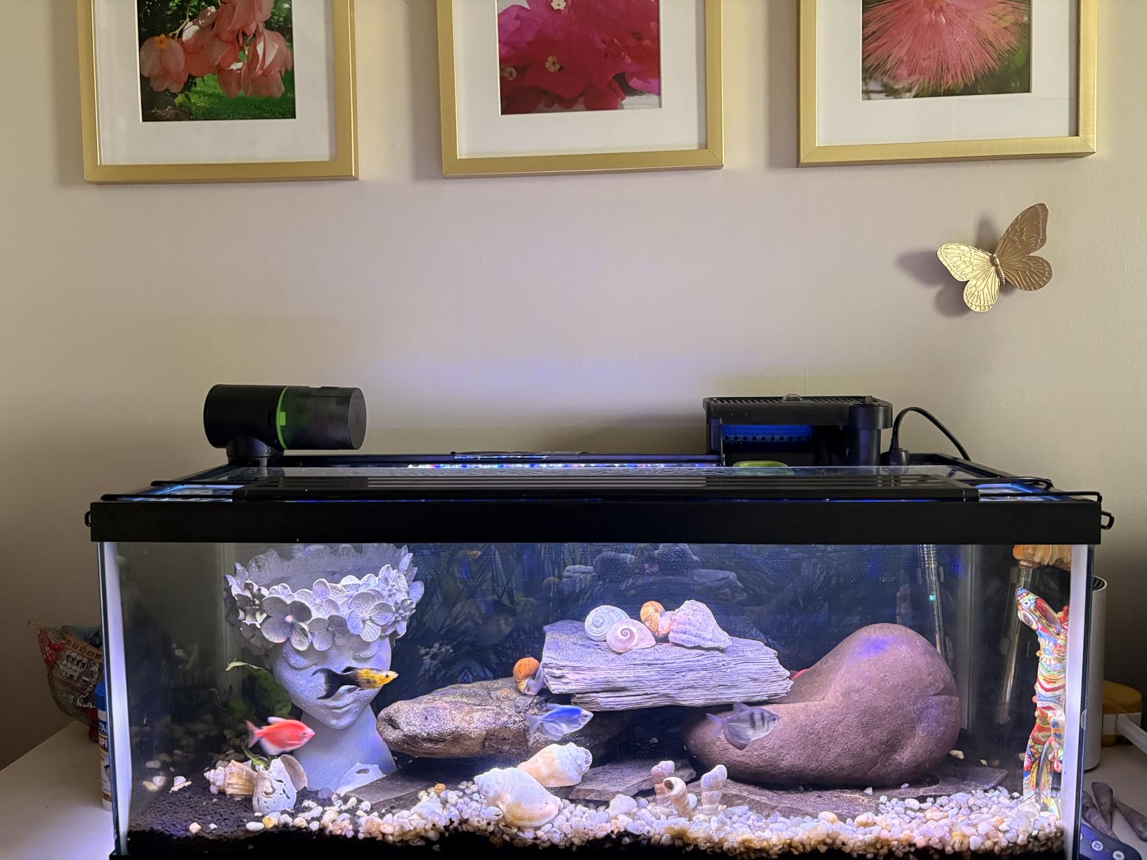 Freesea Automatic Fish Feeder for Aquarium: One-Touch Easy Setup & 3 Timers customer photo 2