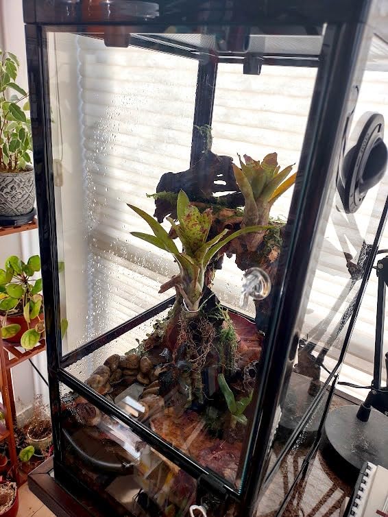 REPTIZOO 88 Gallon Large Reptile Terrarium 48