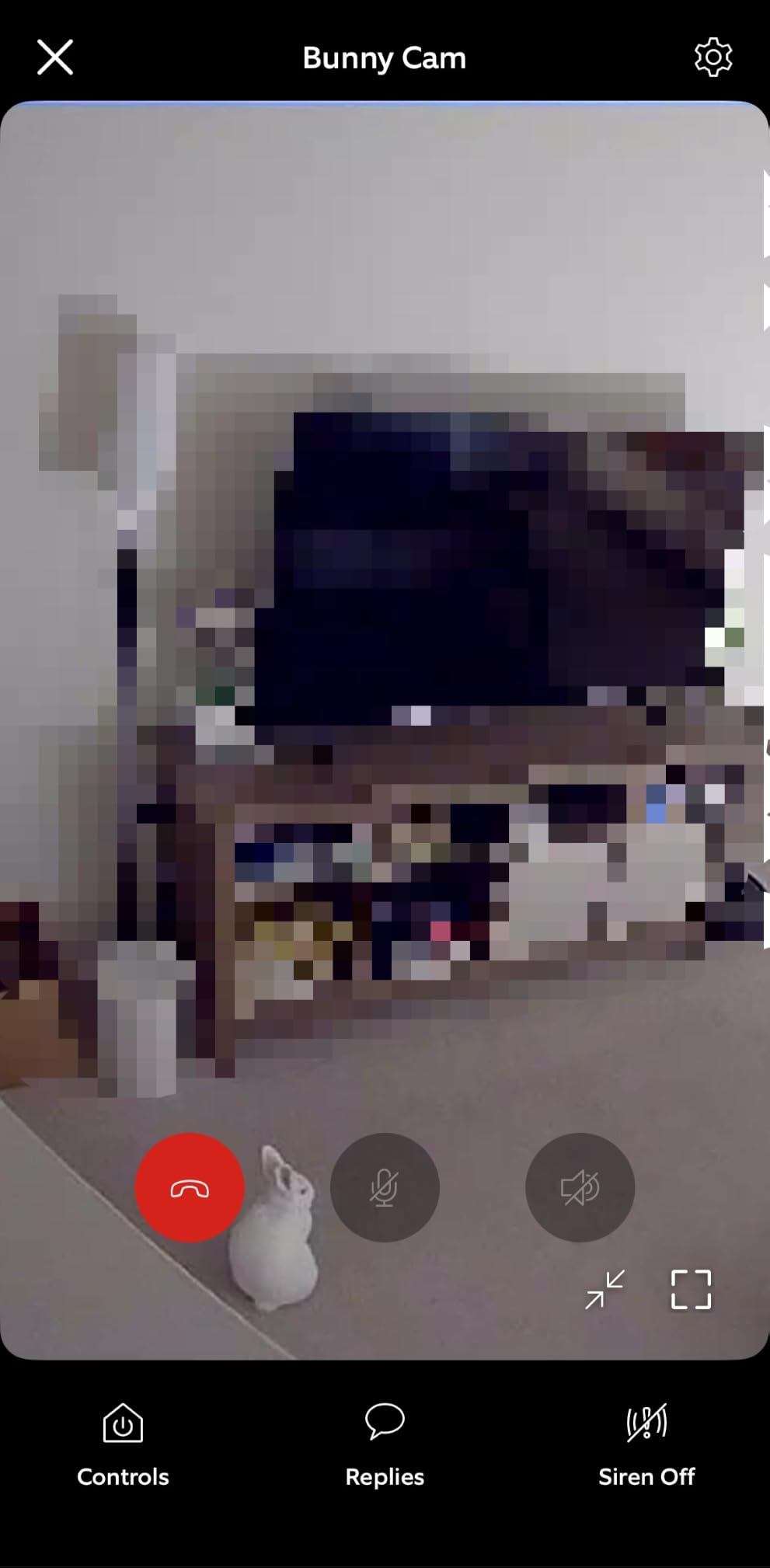 Ring Indoor Cam (newest model) — Home or business security in 1080p HD video, White customer photo 2