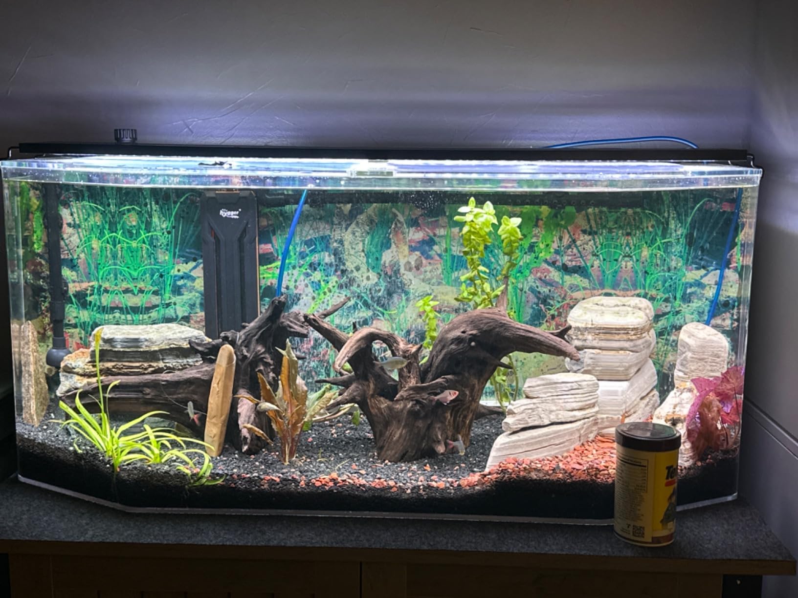 hygger Aquarium Heater 300W/500W/800W/1000W, Submersible Fish Tank Heater customer photo 2