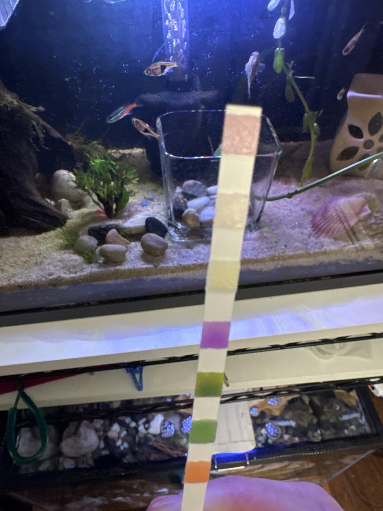 Umlecoa 7 in 1 Aquarium Test Kit for Freshwater and Saltwater - 125 Aquarium Test Strips with Test Tube & Thermometer - Fast & Accurate Water Testing Strips for Aquarium/Pond/Pool customer photo 2