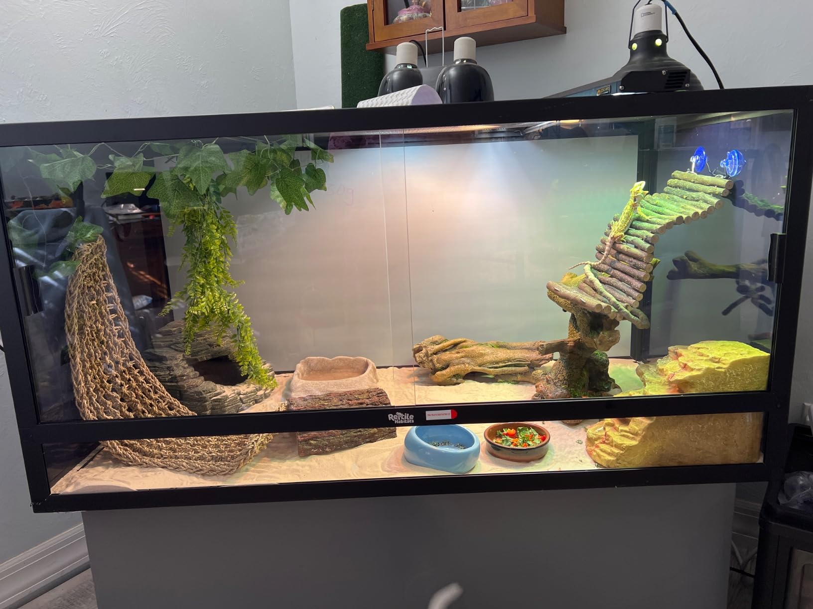 Reptile Habitats 4x2x2 (120 Gallon) Reptile Enclosure V3 PVC Panels, Glass Doors, Lightweight, Easy to Assemble, Heavy Duty Screen, Aluminum Frame customer photo 1