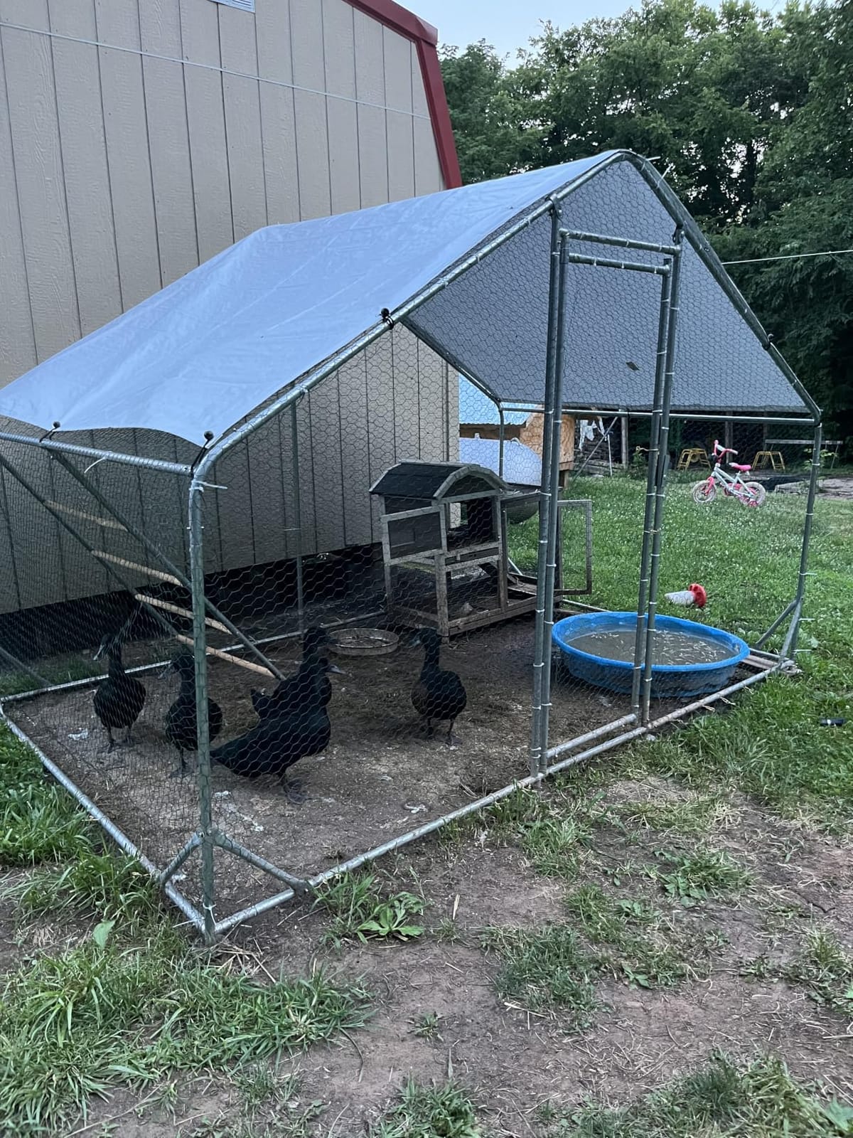 CHIKENCOOP 19.5x9.8x6.5 ft Metal Chicken Coop, Chicken Run with Cover customer photo 2