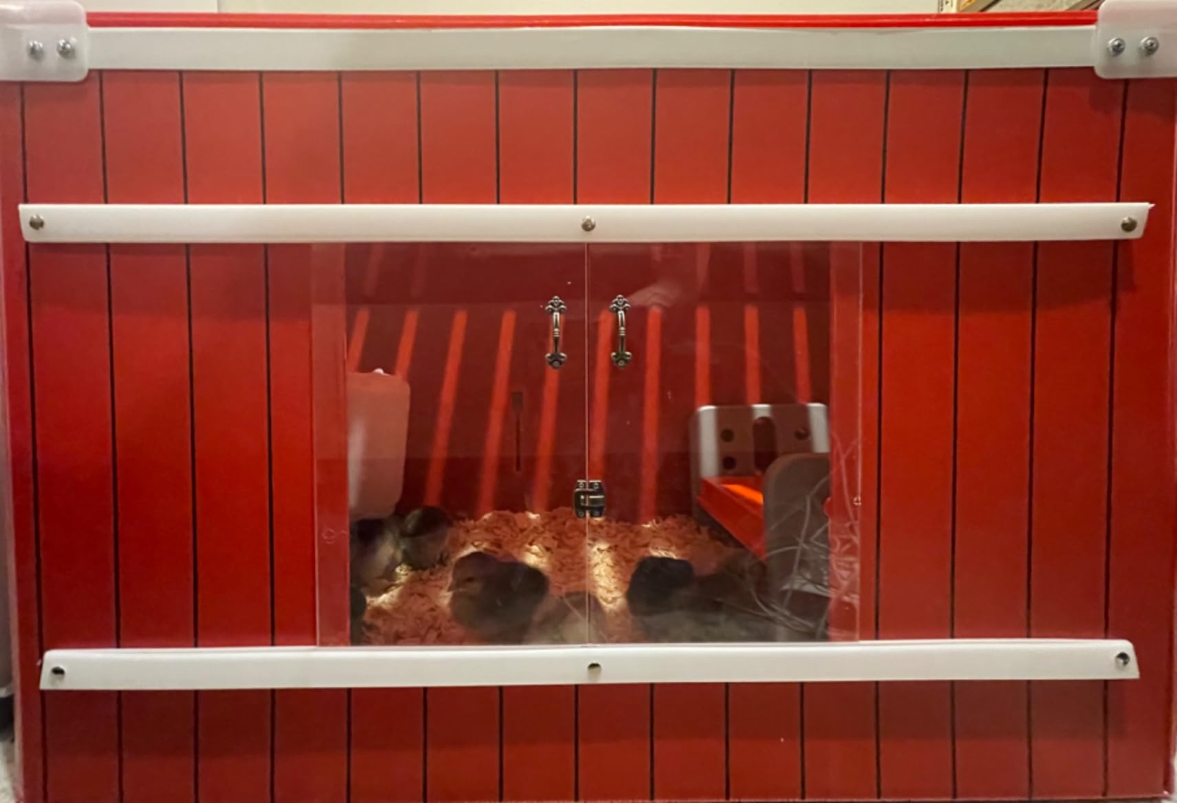 RentACoop Little Red Barn Chick Brooder customer photo 2