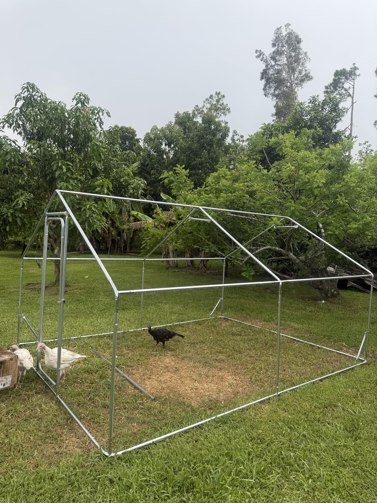 Sino Luban Large Metal Chicken Coop Run for 10 Chickens/Ducks, Chicken Runs for Yard with Waterproof Cover, Chicken Enclosure Chicken Pen Outdoor, Walk-in Poultry Cage (Upgrade Wall Support Brace) customer photo 2