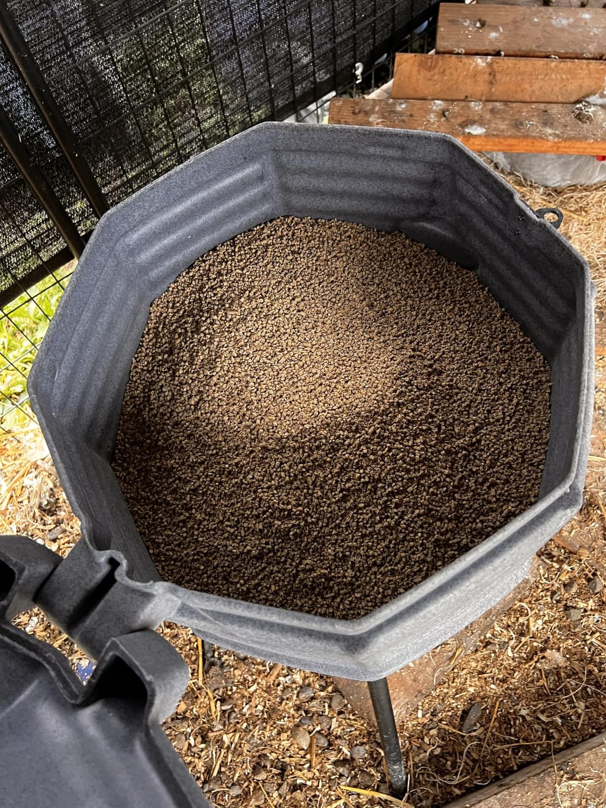 CoopWorx Poultry Feeder 80 lb Capacity - Adjustable Height Chicken Feeder - UV Stable Rotomolded - 8 Soft-Touch Ports - Roost-Resistant Lockable Lid - Made in USA customer photo 1