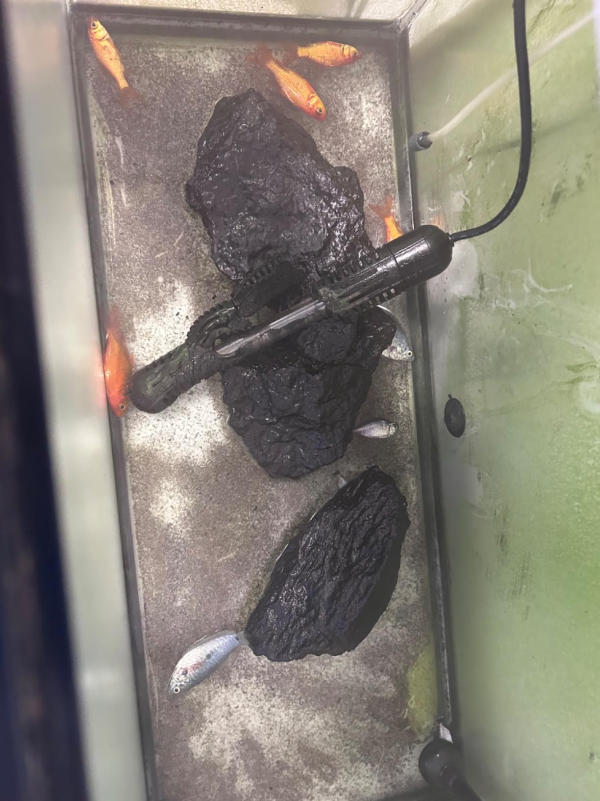 YukiHalu Aquarium Heater 50/100/200/300/500W with Protective Case, Fish Tank Heater, Temperature Adjustable, External Temperature Controller, LED Display, Used for 10/20/40/75/120 Gallons (300W) customer photo 1