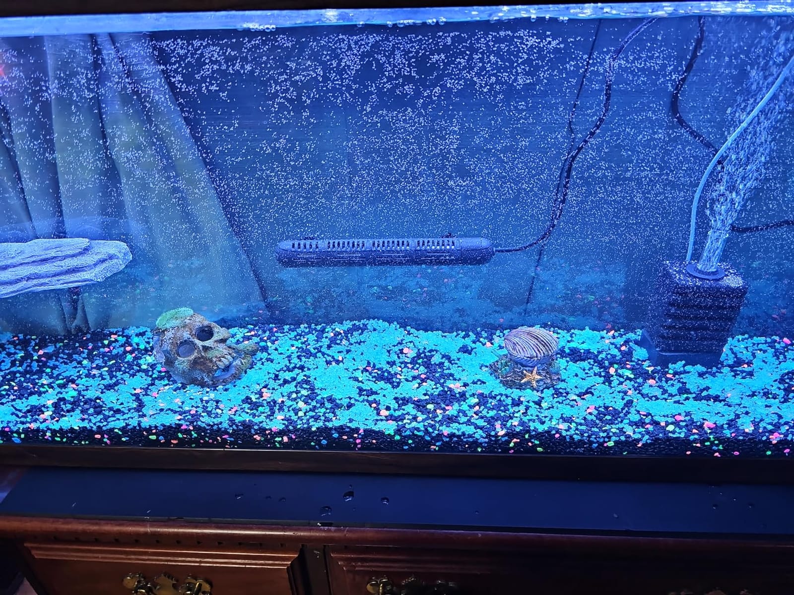 YukiHalu Aquarium Heater 50/100/200/300/500W with Protective Case, Fish Tank Heater, Temperature Adjustable, External Temperature Controller, LED Display, Used for 10/20/40/75/120 Gallons (300W) customer photo 2