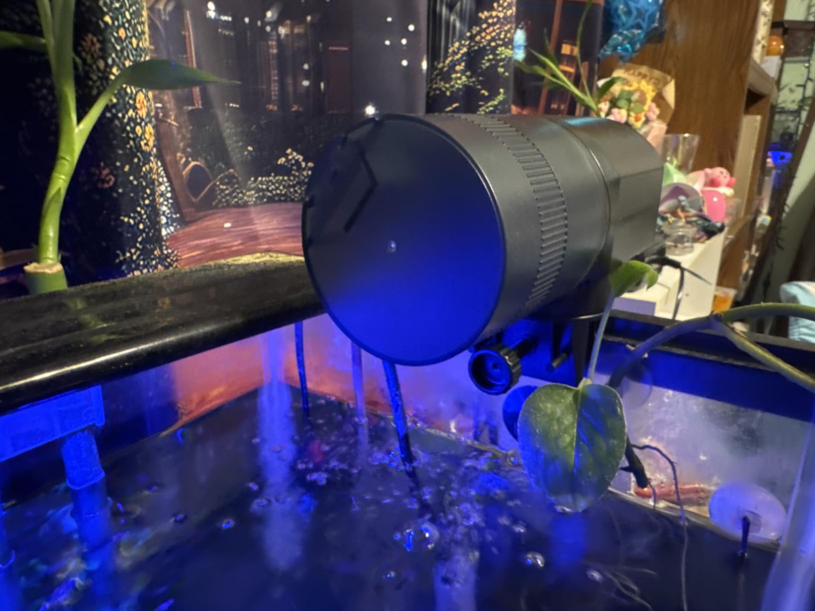Automatic Fish Feeder Dispenser for Aquarium: 200ml Large Capacity Auto Feeders for Small Tank Turtle Betta Koi - Battery Food Feeding Timer for Flakes Pellet Vacation Weekend Day customer photo 1