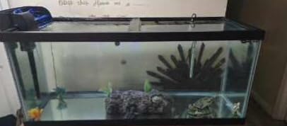 DXOPHIEX Gravel Vacuum for Aquarium Fish Tank Siphon, 50 Feet customer photo 2