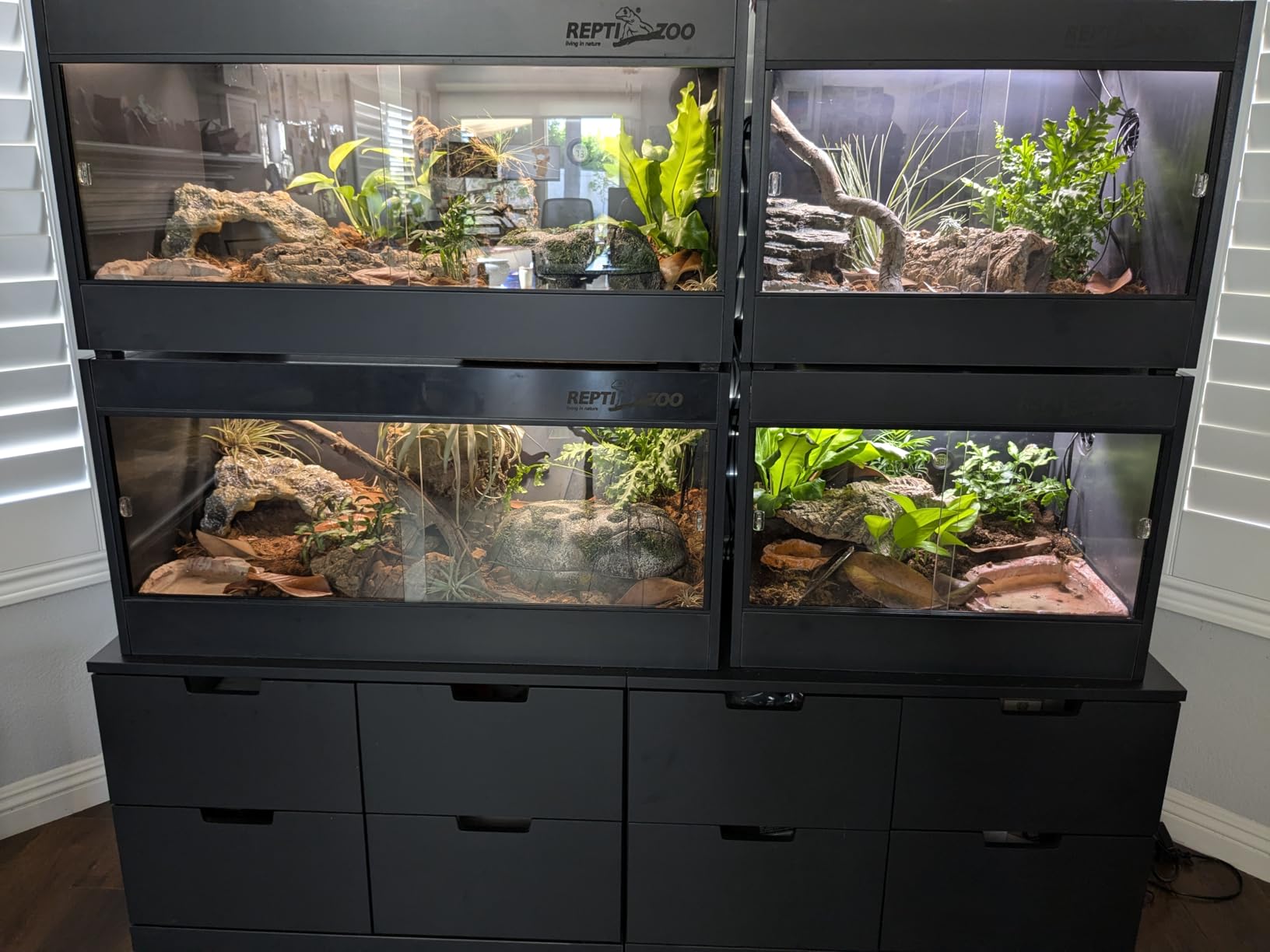 REPTI ZOO 120 Gallon PVC Reptile Tank Terrarium, 48x24x24 Reptile Terrarium for Ball Python Snake Bearded Dragon Gecko, Large Reptile Glass Tank with Sliding Door & Screen Ventilation customer photo 1