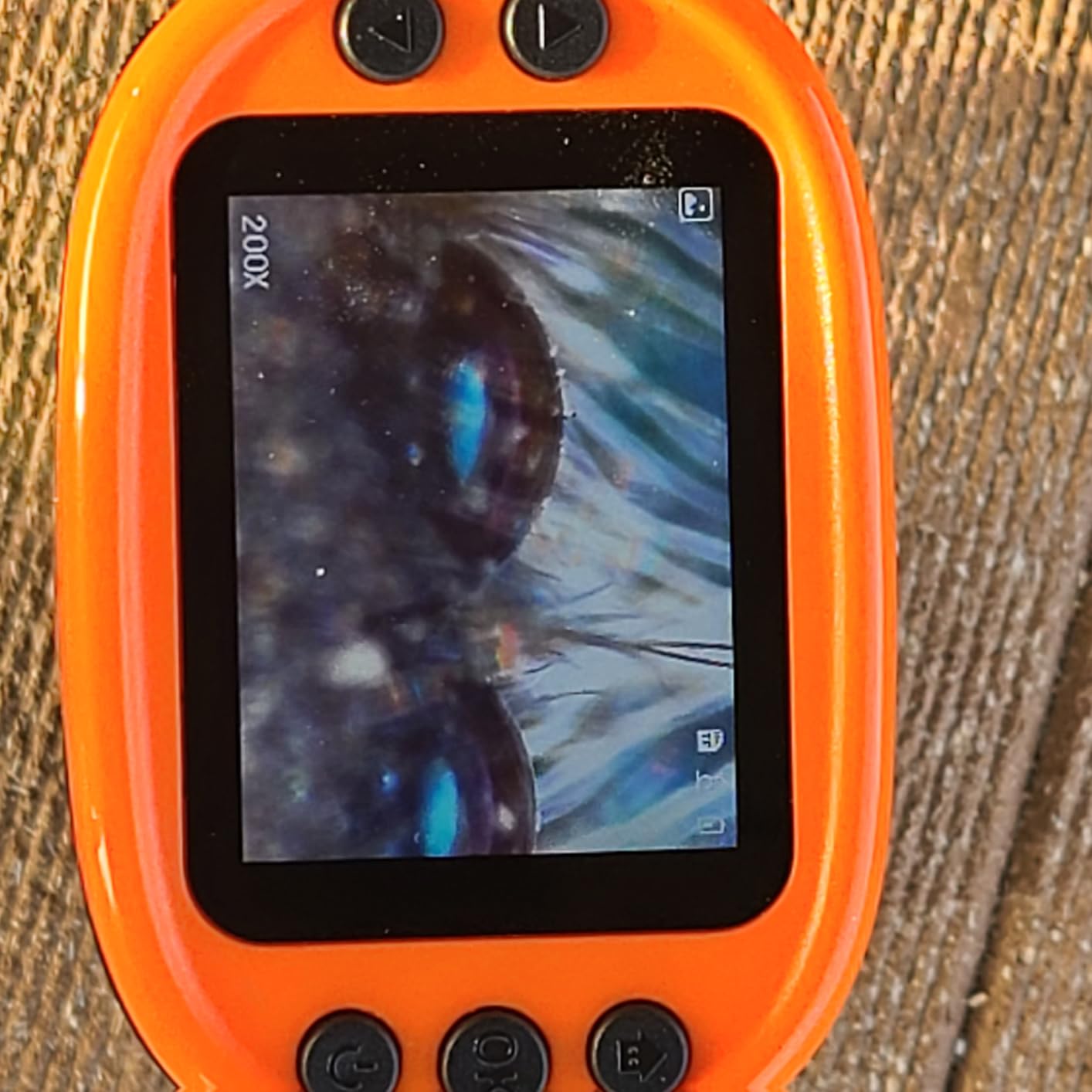 Kids Digital Microscope STEM Toy: Complete Science Gift Kit for Ages 4-12 customer photo 2