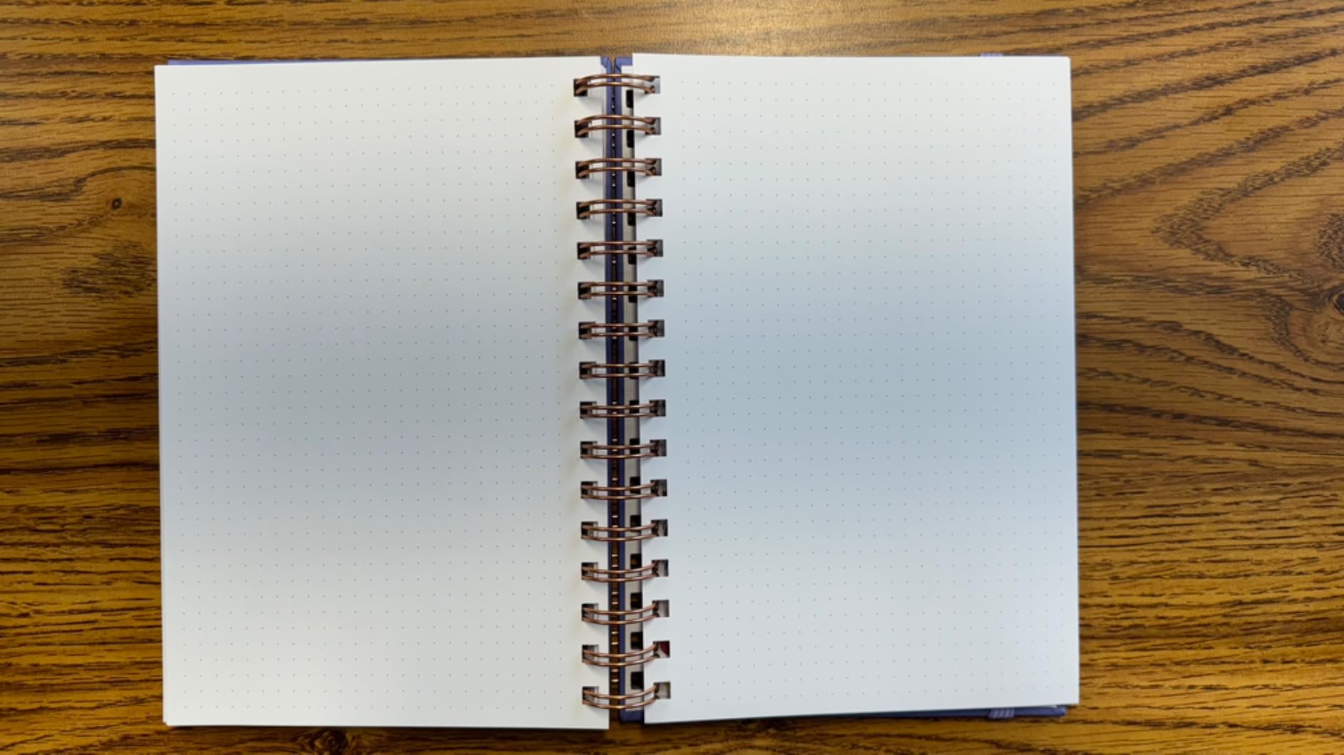 Clever Fox Academic Student Planner 2026-2027, School, College Aquamarine customer photo 2